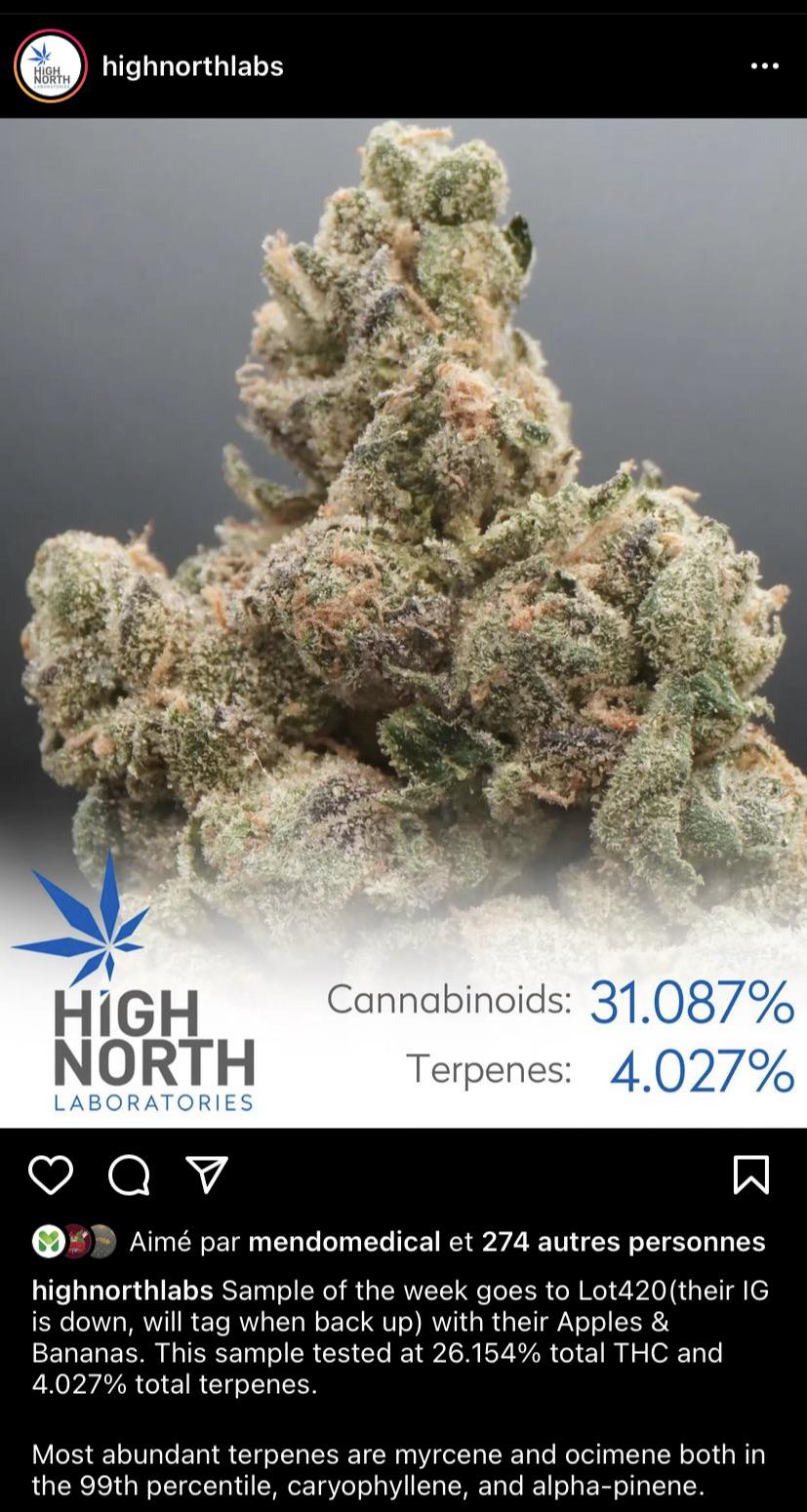 New «off menu» strain by lot420 coming soon apples and bananas 🍎 🍌