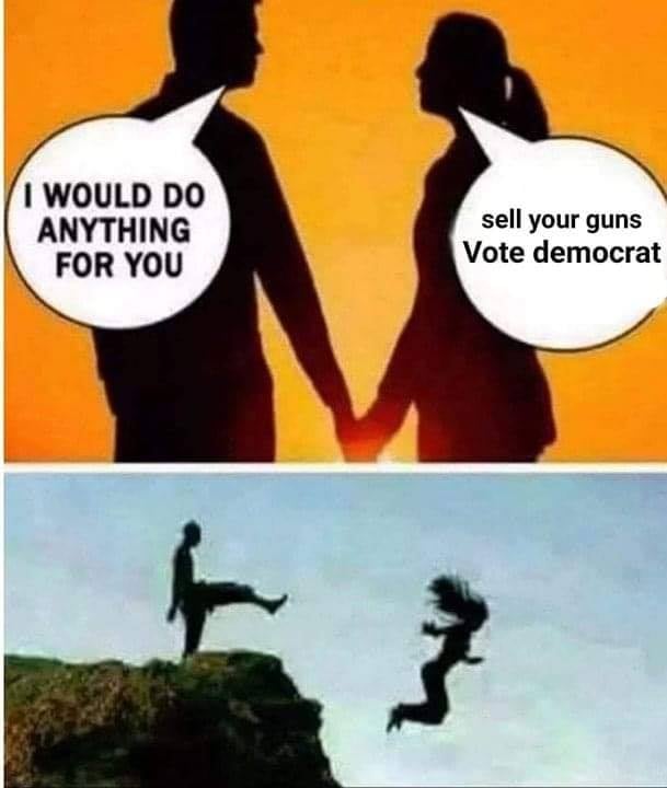 I'll Do Anything For Love, But I Won't Sell My Guns libertarianmeme