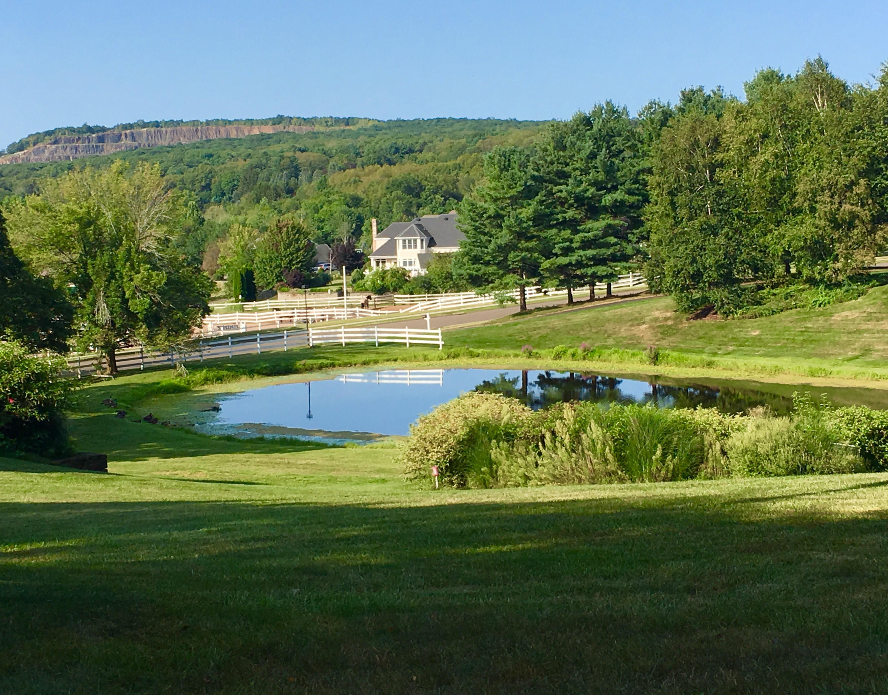 Atkins Street Middletown r/Connecticut