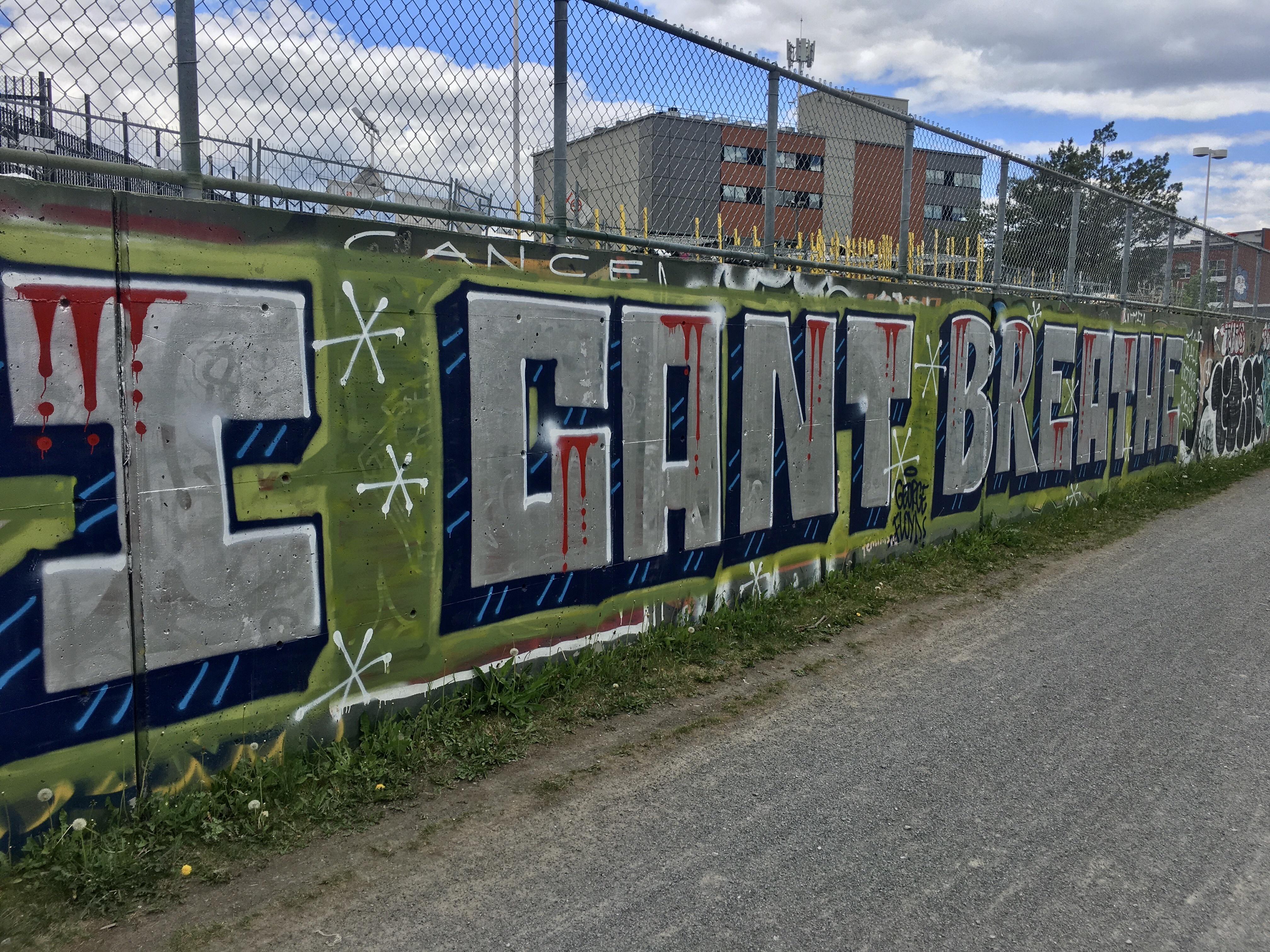 150 best Rosemont images on Pholder | Montreal, Phish and Chicago