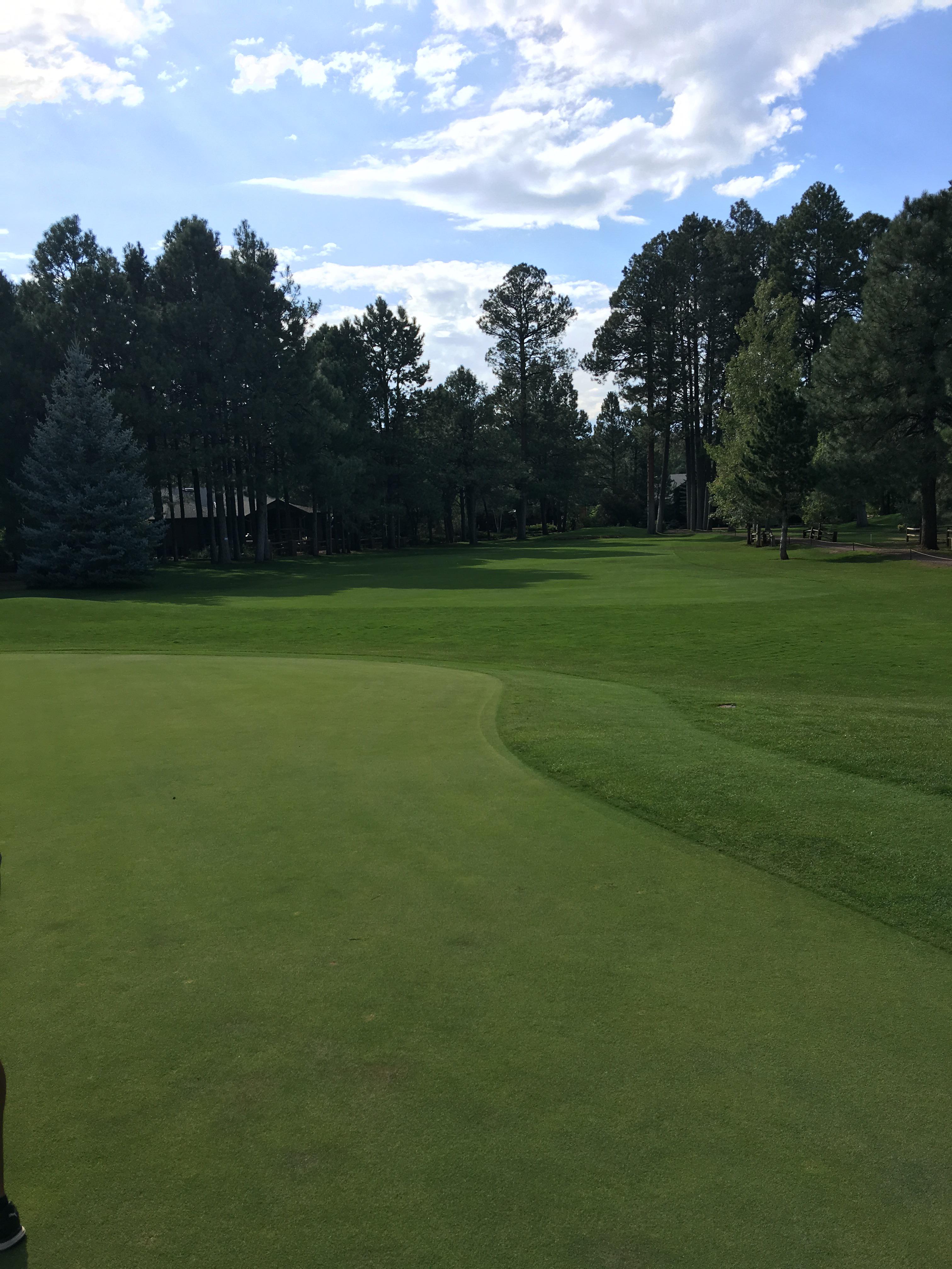 Golf in was amazing. Highly it r/golf