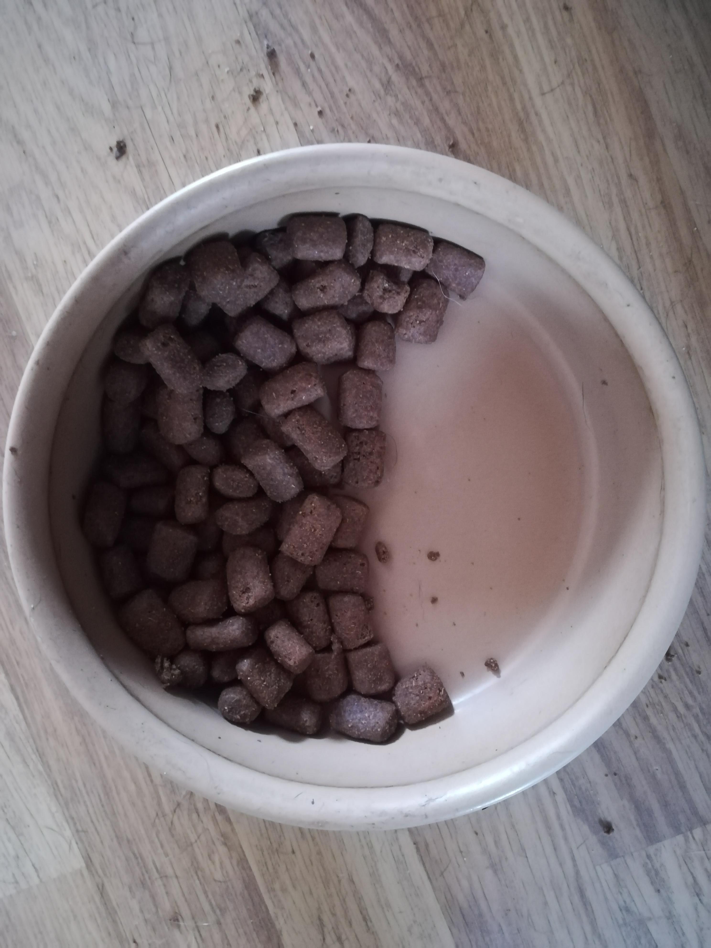 This is how my dog eats her food, from one side to the other. If you