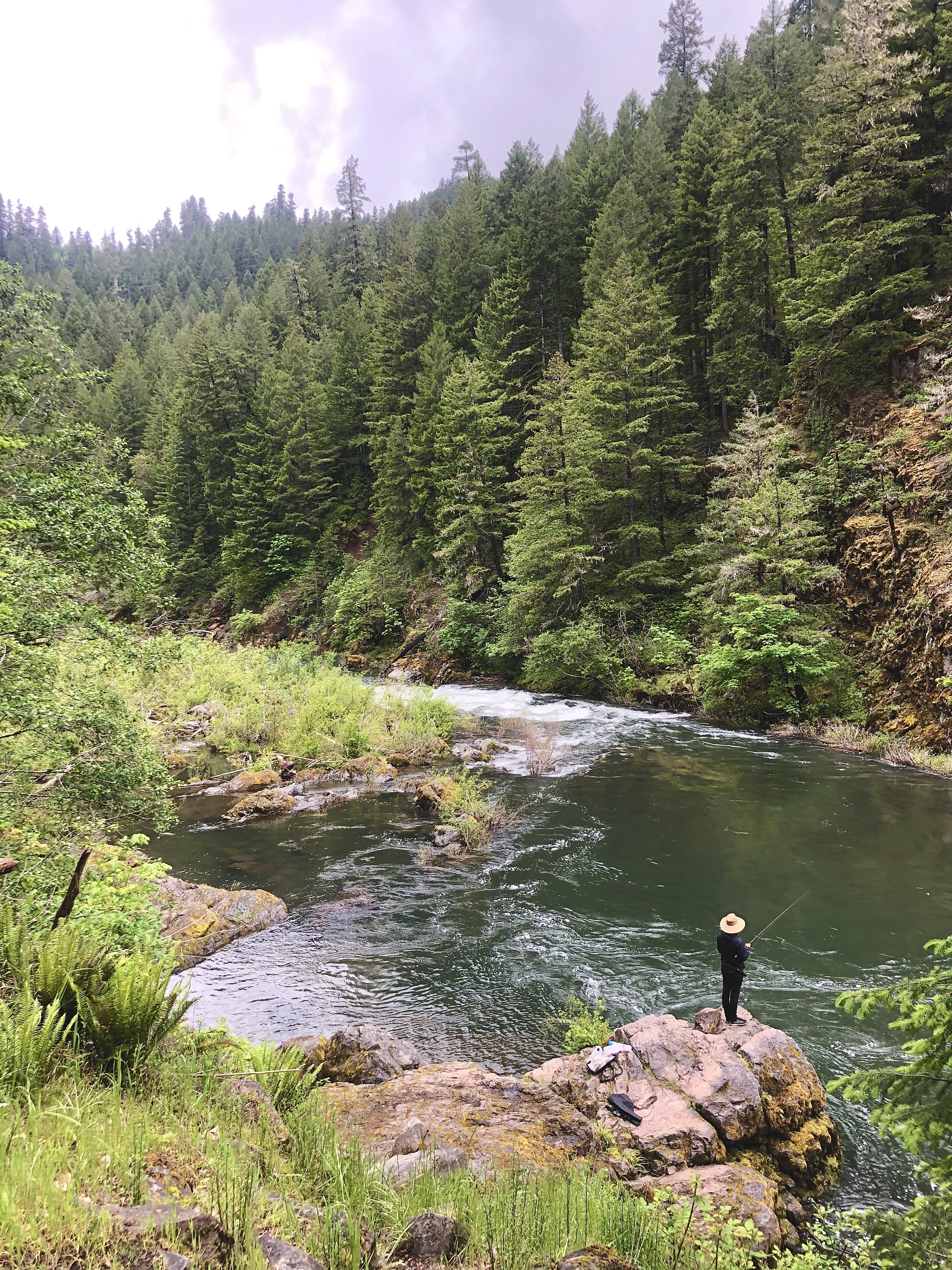 Beautiful rainy day outside of Westfir OR r/oregon