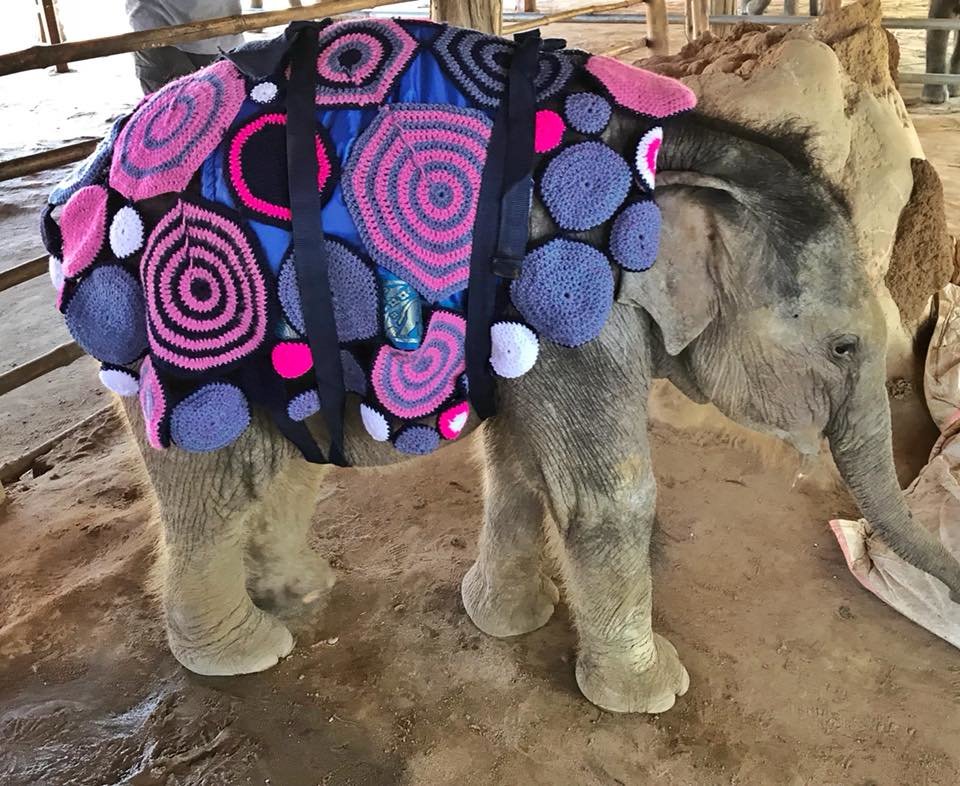 Baby elephants get their own custom knitted coats at the Winga Baw