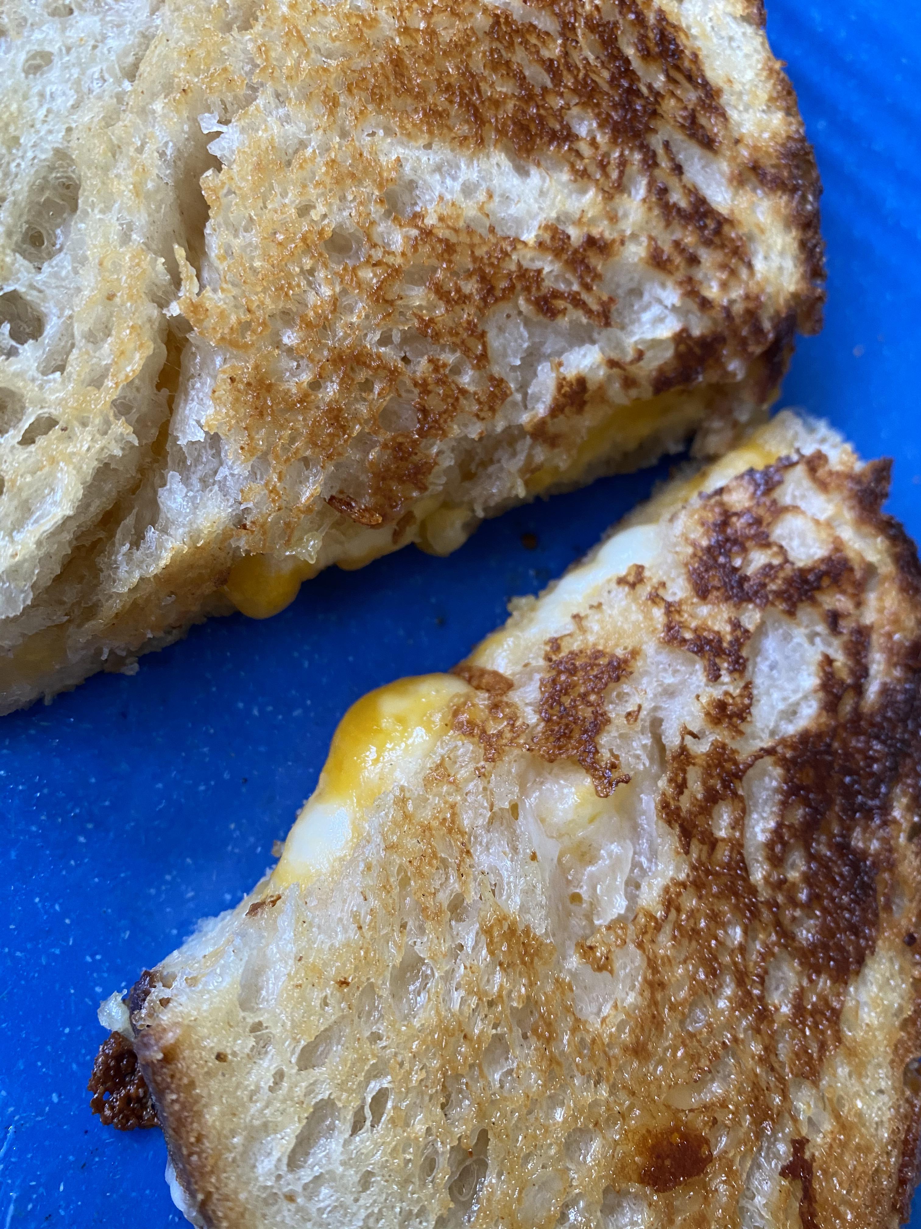 Cheddar, mozzarella, and Monterey Jack on sourdough. Grilled Cheese
