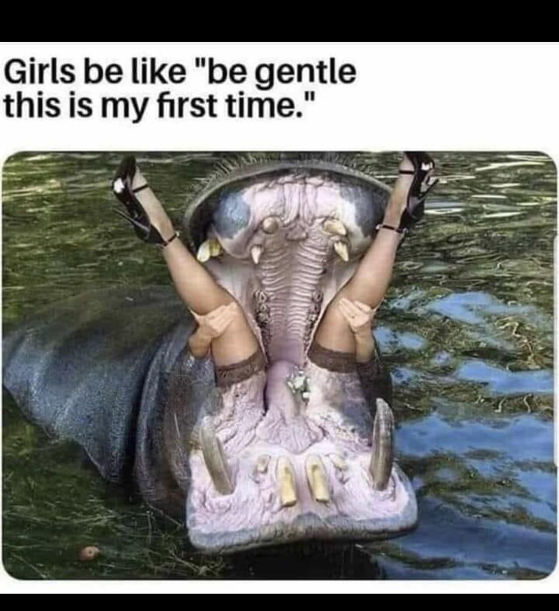"How do you eat an elephant?" Bite by bite. Reddit