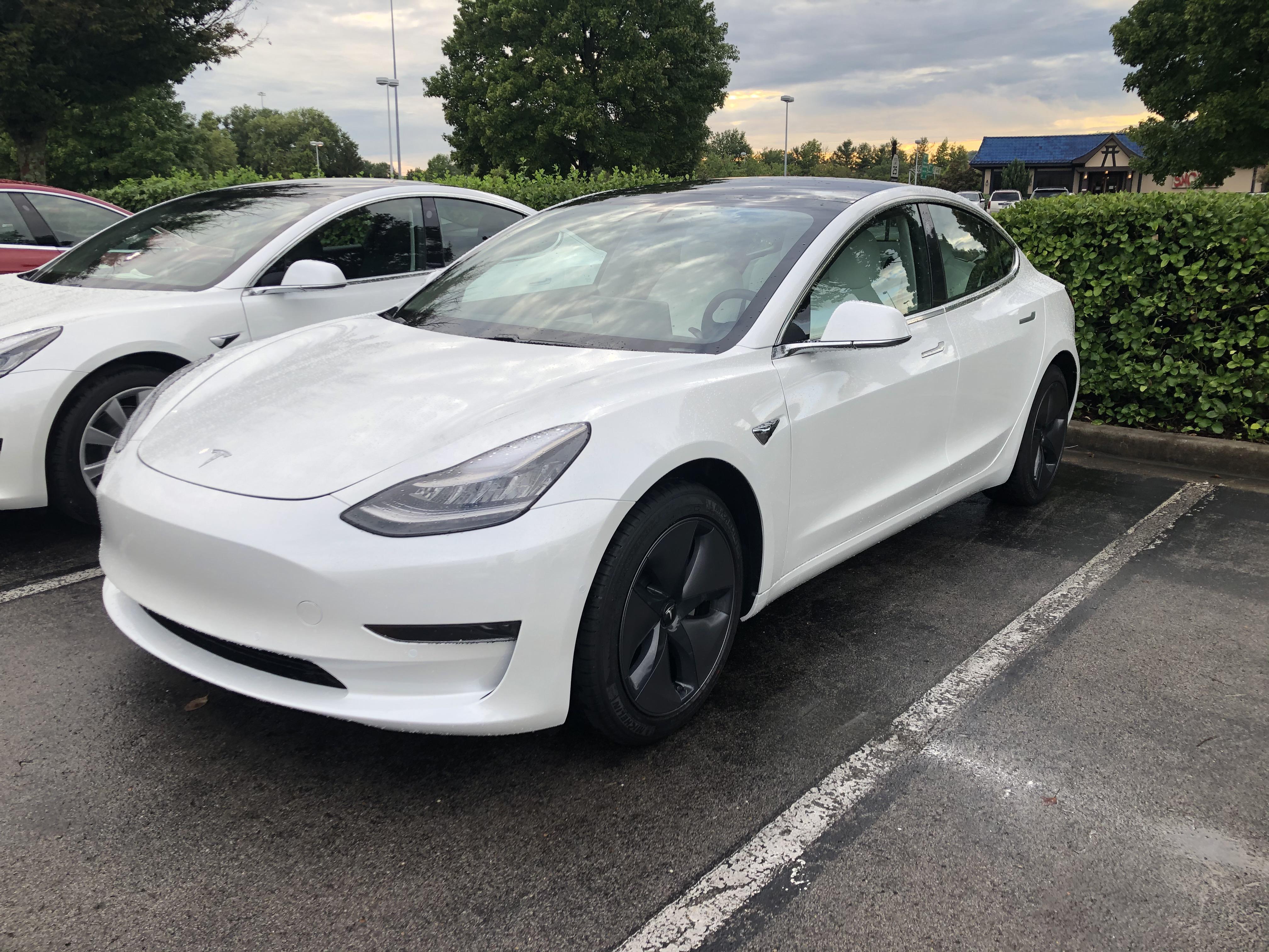 Delivery day, team white r/TeslaModel3