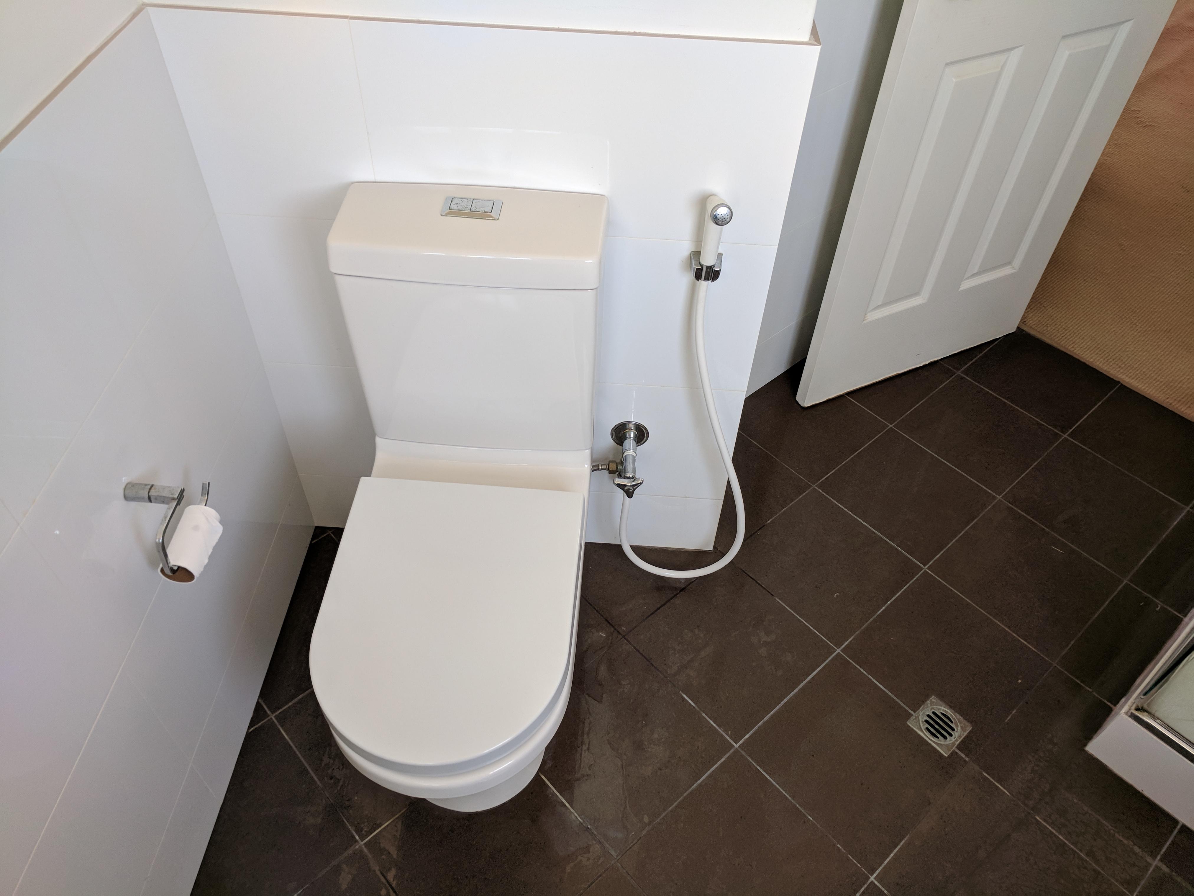 The hose on the toilet? r/whatisthisthing