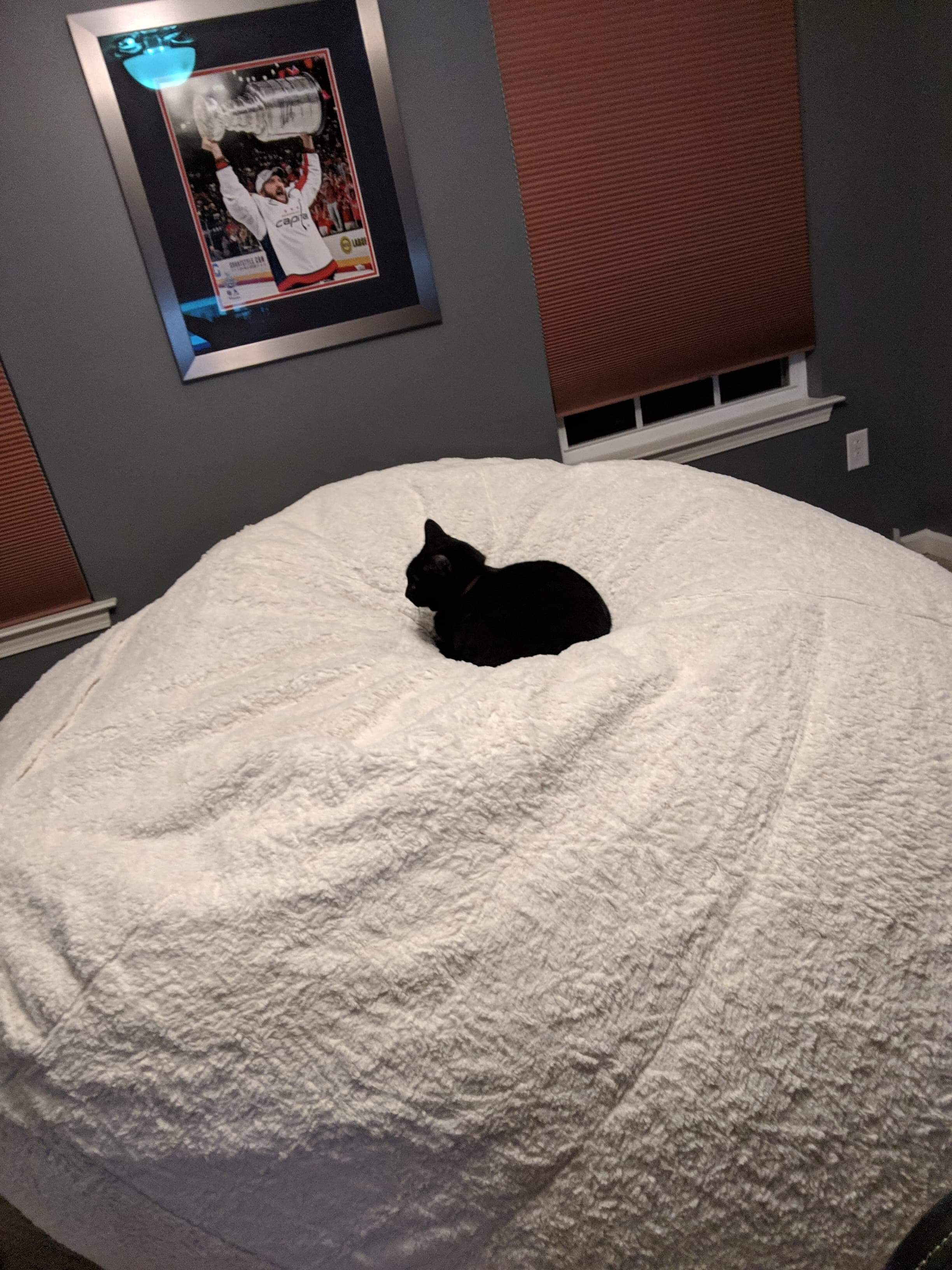 286 best Lovesac images on Pholder Lovesac, Aww and Costco