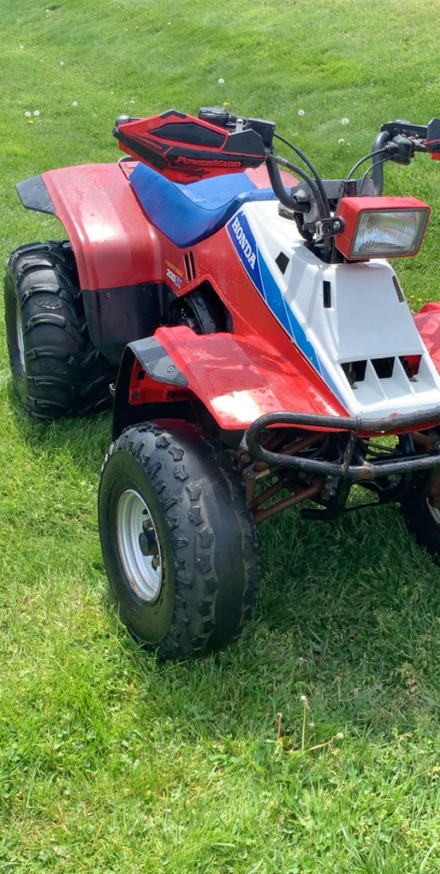 Top 81+ imagen 1986 honda fourtrax 200sx plastics - In.thptnganamst.edu.vn