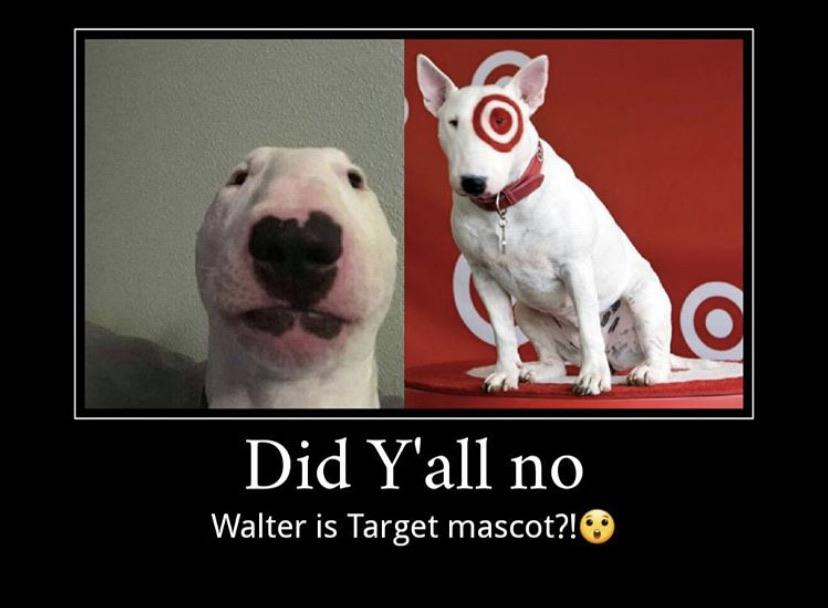 Walter r/Target
