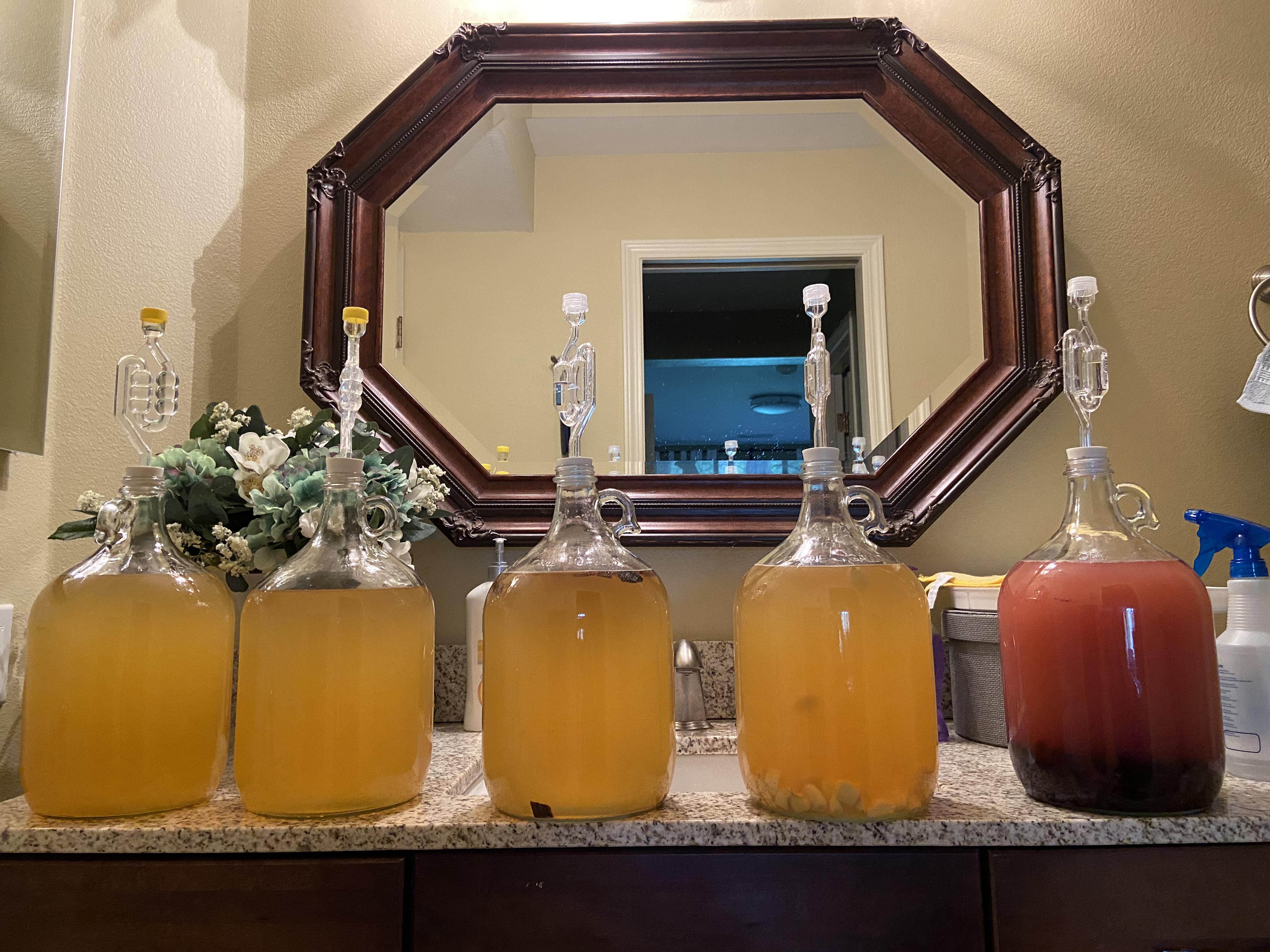 First Five Gallon Batch Split Into Five Flavors! mead