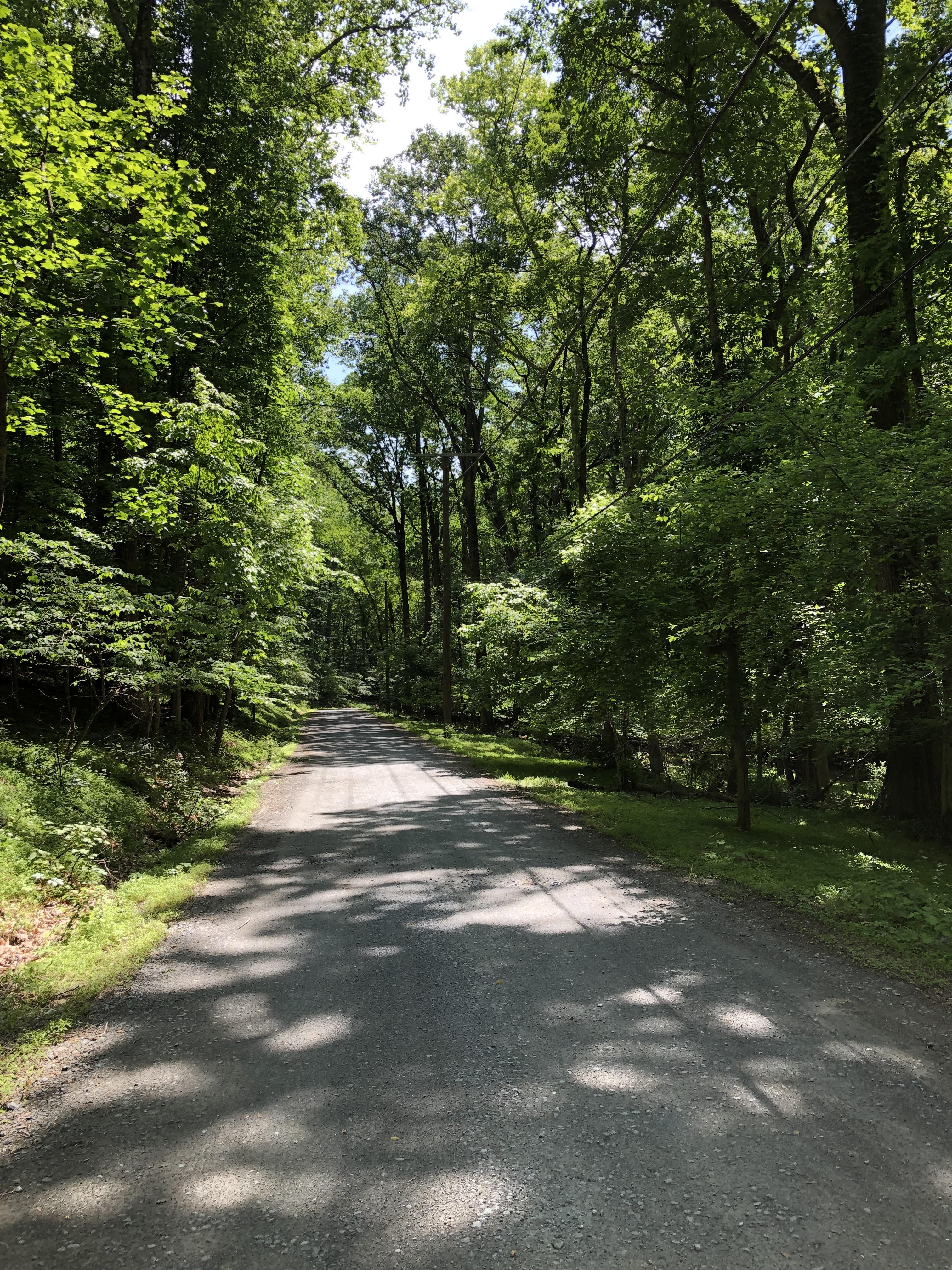 🎼Country roads take me... There’s still some country left in Potomac