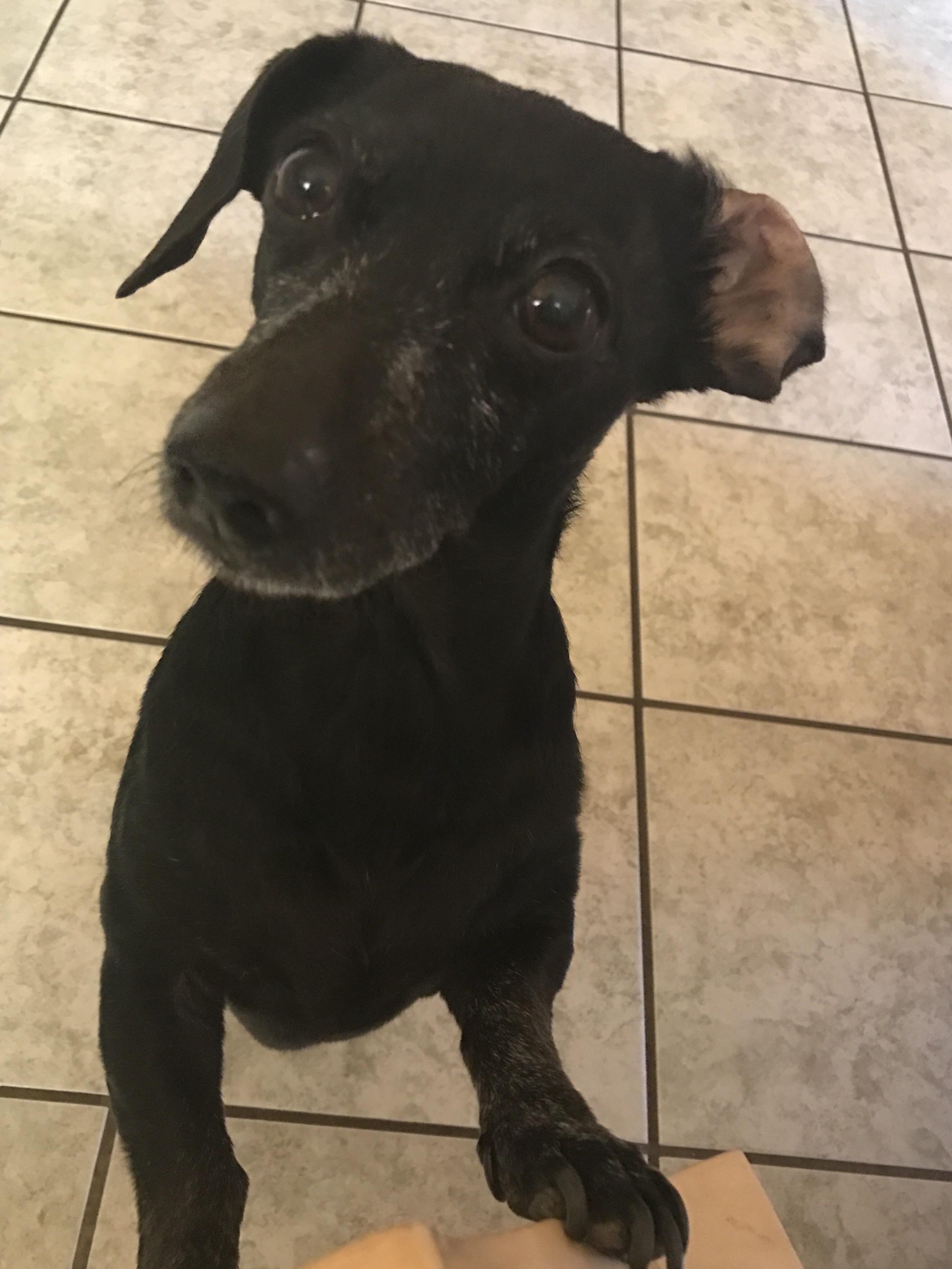 13 years of pure happiness with her