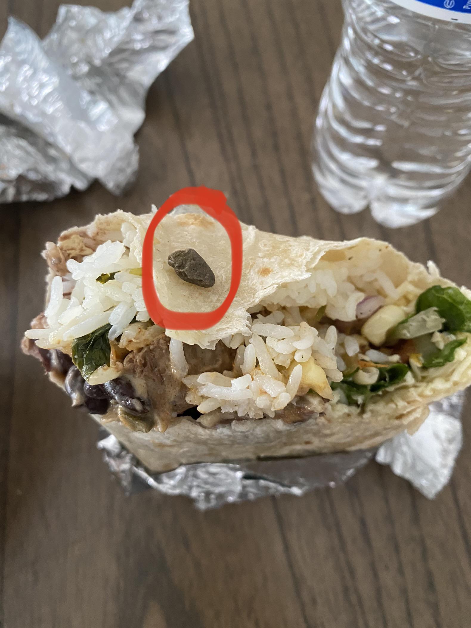 There was a tiny rock in my chipotle burrito. mildlyinteresting