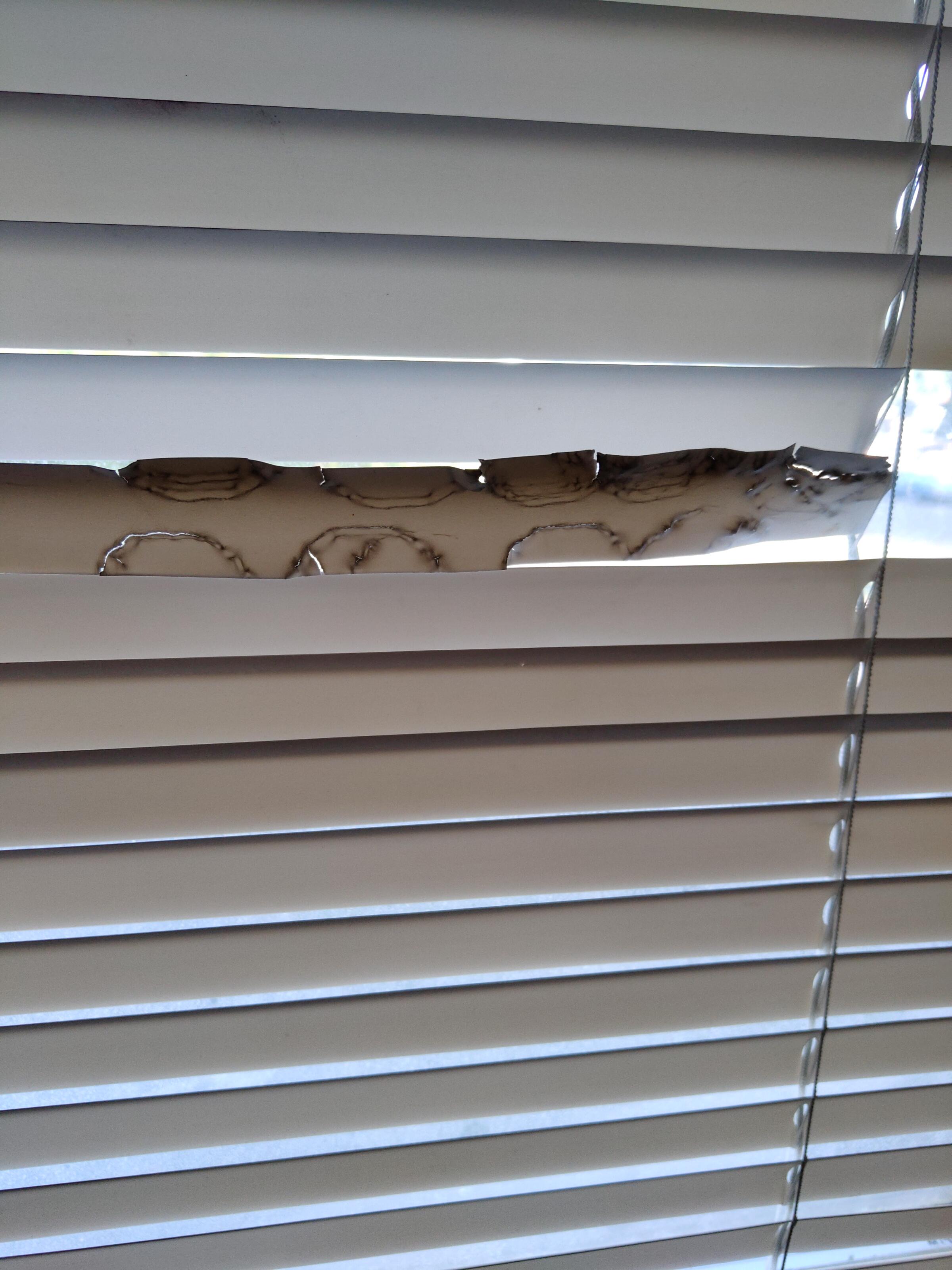 My 5 year old son decided to chew on the blinds in his bedroom