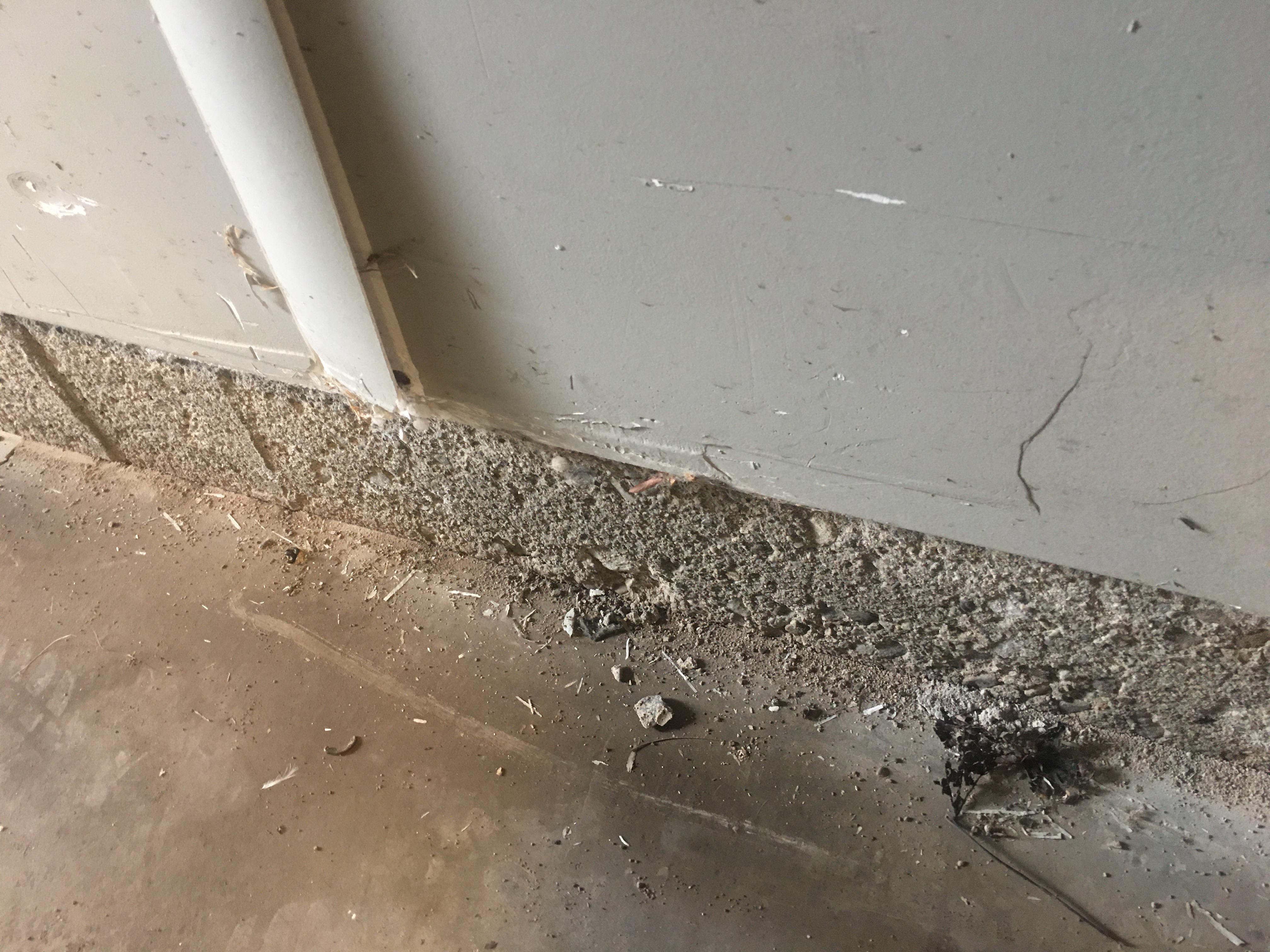 Crumbling foundation outside and in garage, big problem? r/HomeRepair