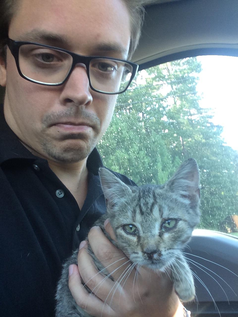 Found him in Charlotte, NC on the highway near northlake mall. He's at the animal shelter on