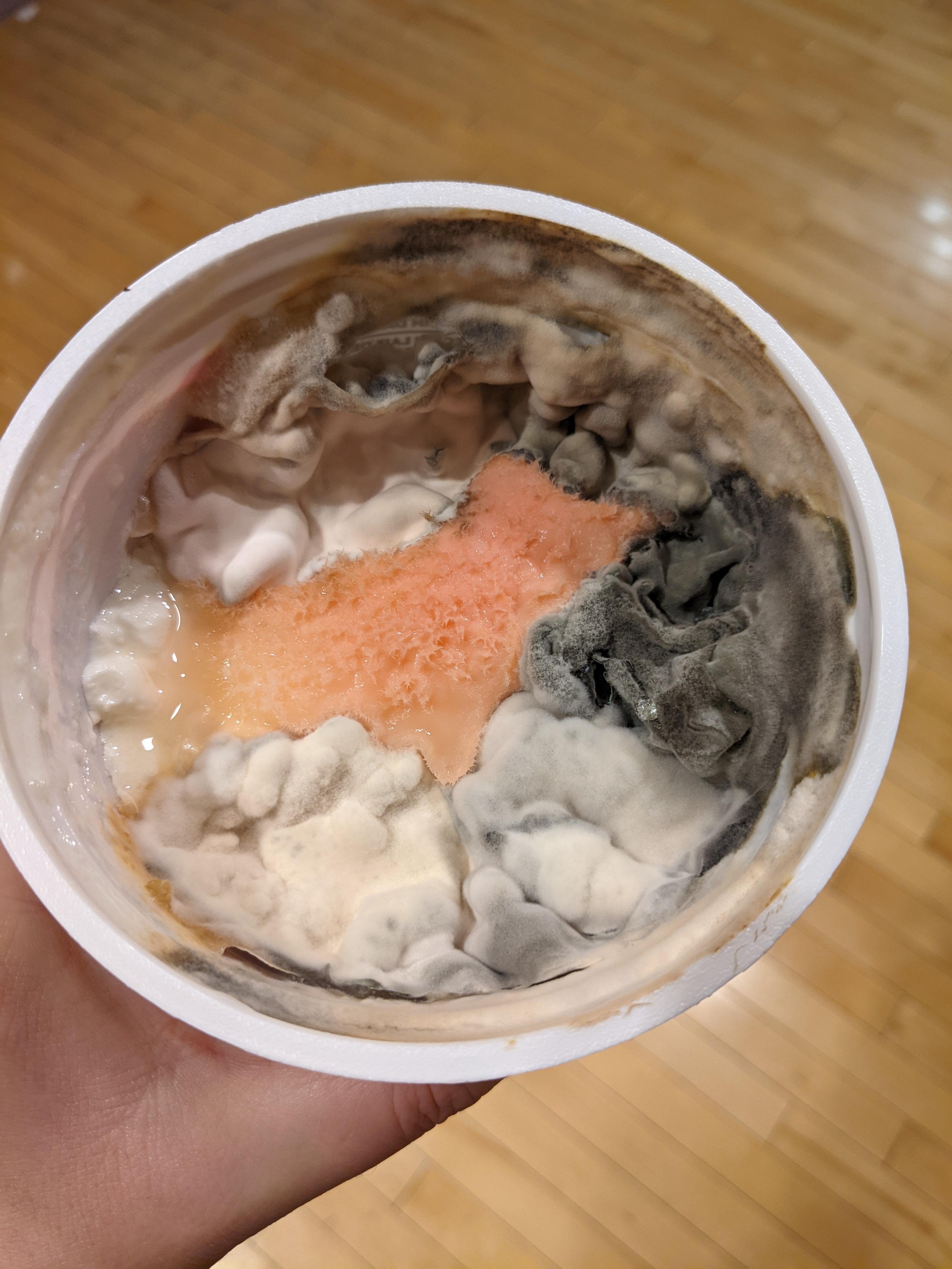 Cottage cheese that expired in October 2021. I especially the pink. r