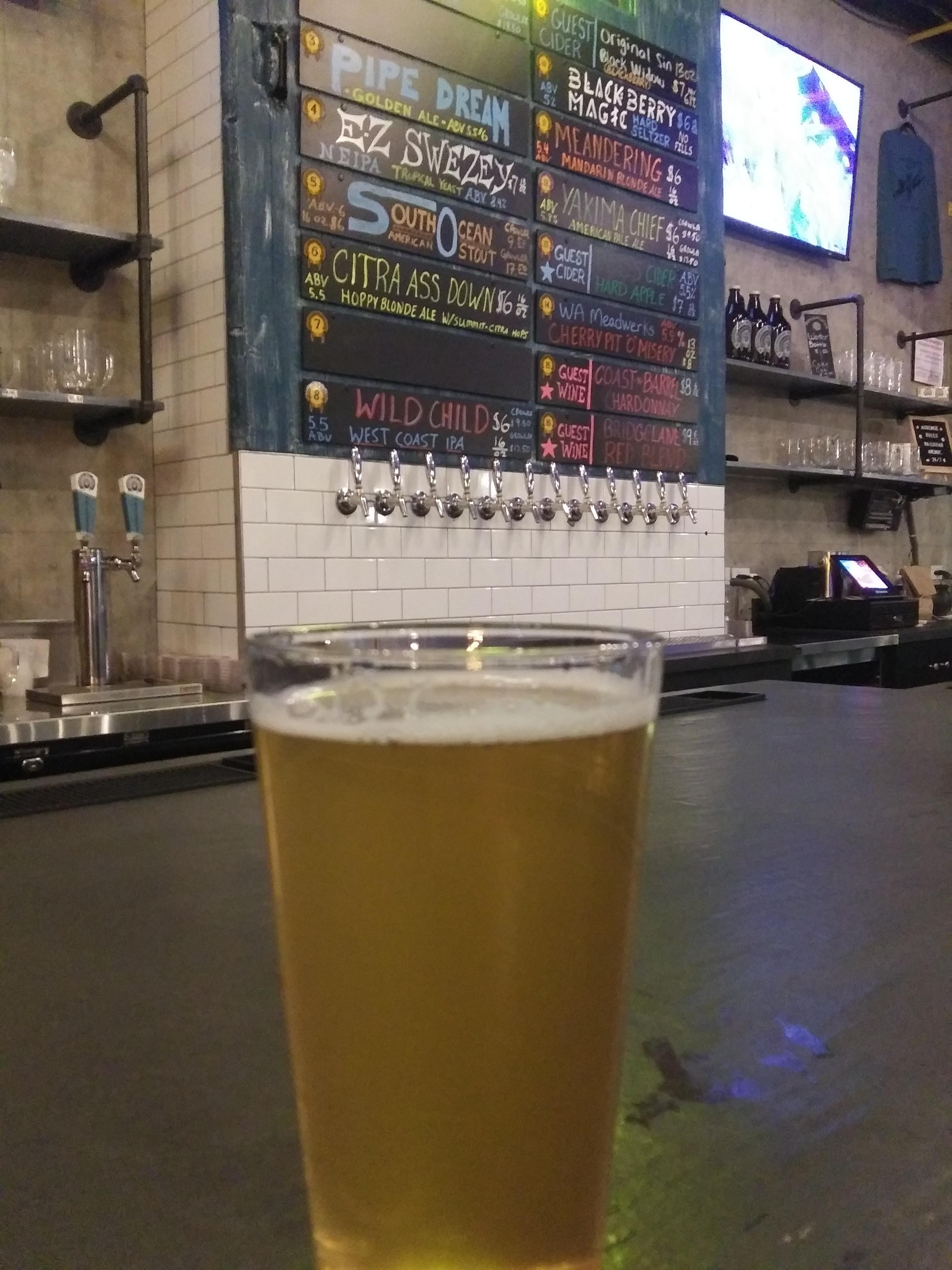 Trying a local Nano brew house, The Patchogue Beer Project. Citra Ass