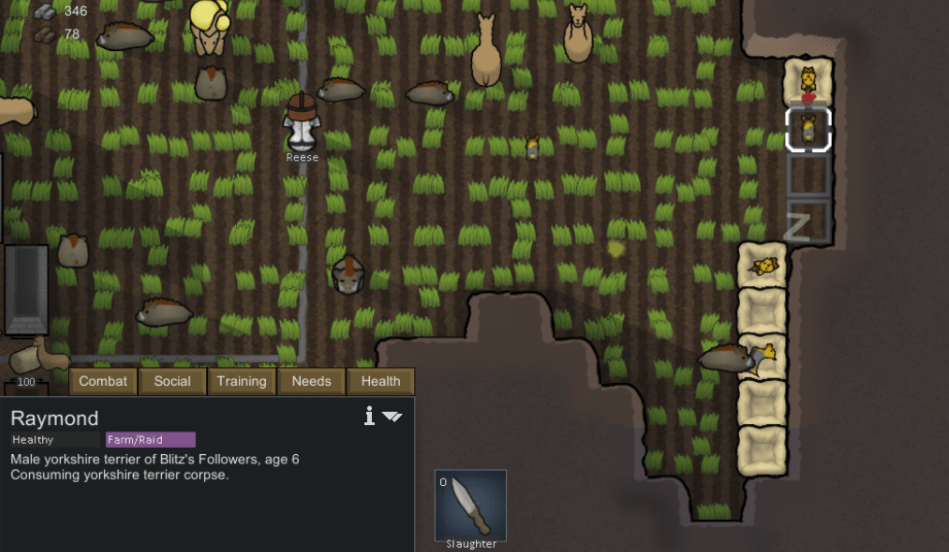 Rimworld breeding chickens
