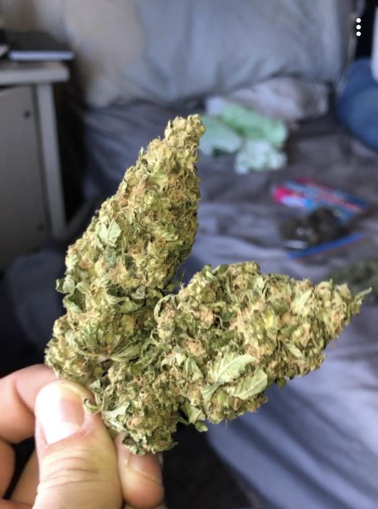 Sour Diesel is always a go to r/trees