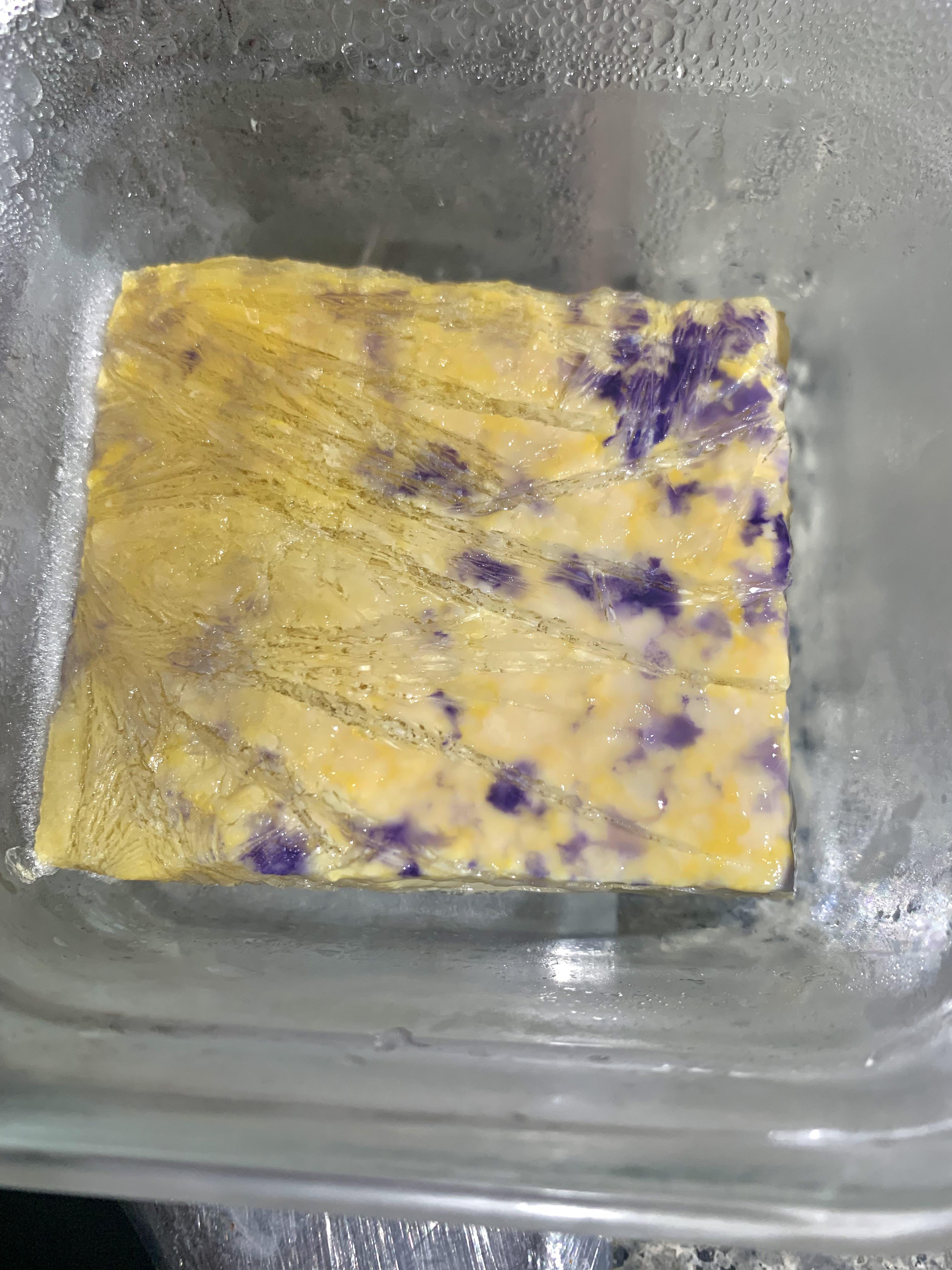 Purple mold r/purple