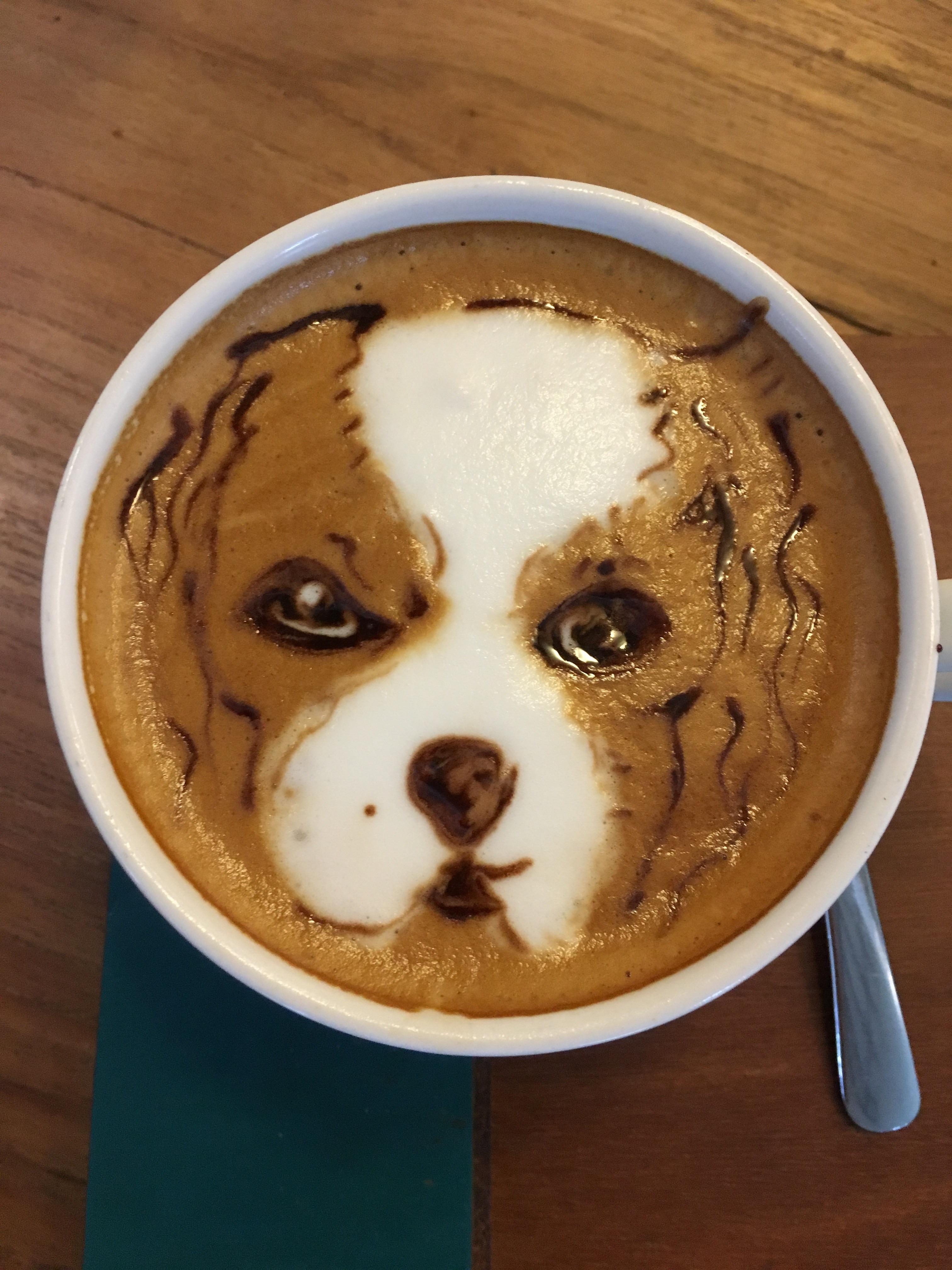 A cafe in Bali did custom latte art of my dog 😍 r/cavaliers