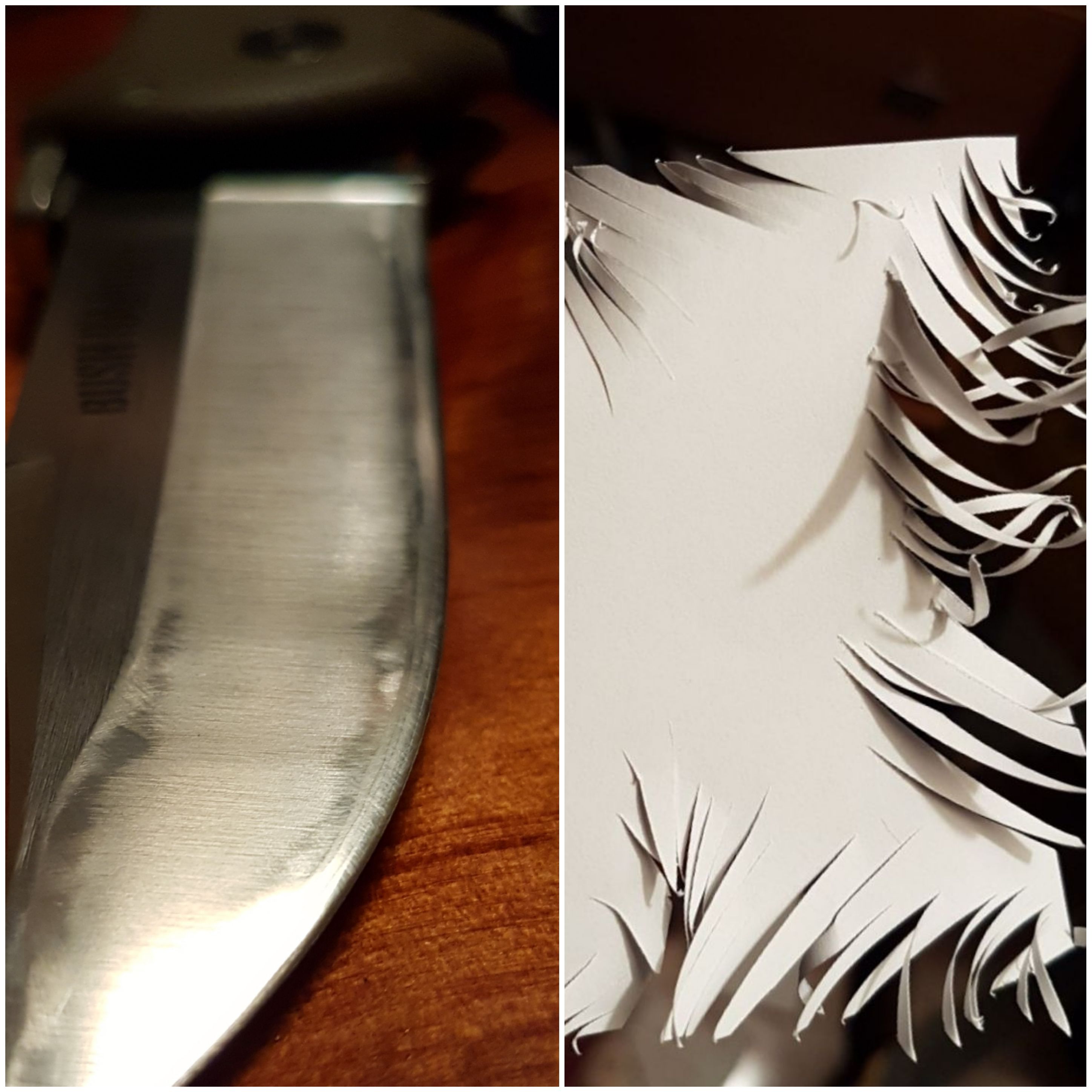 Cold Steel 0.16 thick bush ranger, my favorite beater knife always