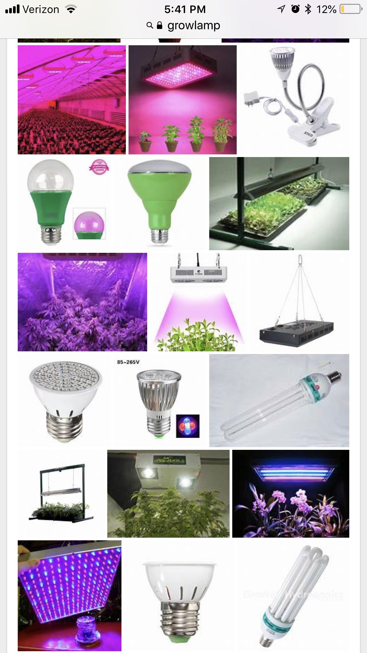 What are the most efficient grow lamps for growing tomatoes, spinach