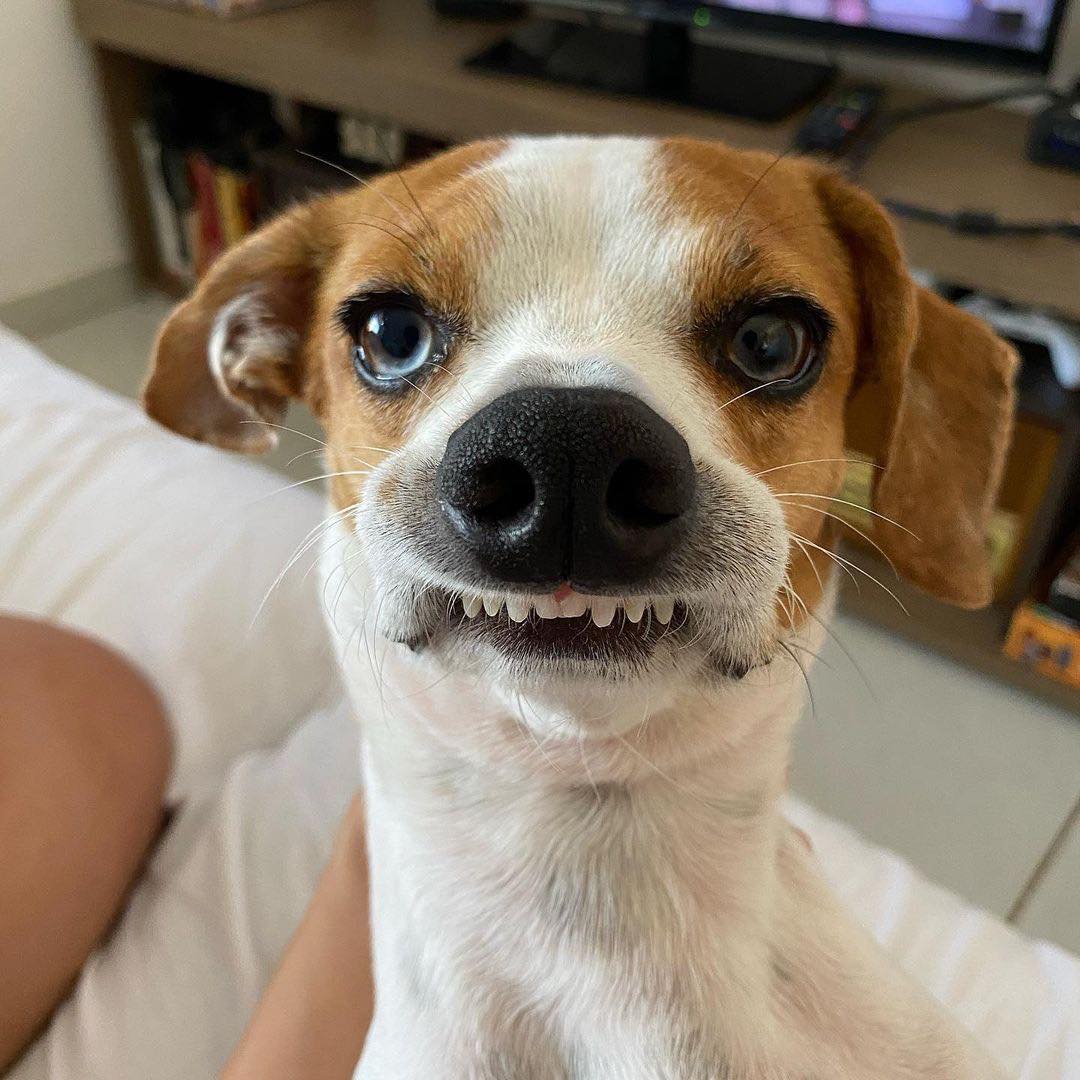 "Sometimes my lip, gets stuck on my teefs. You think it looks weird