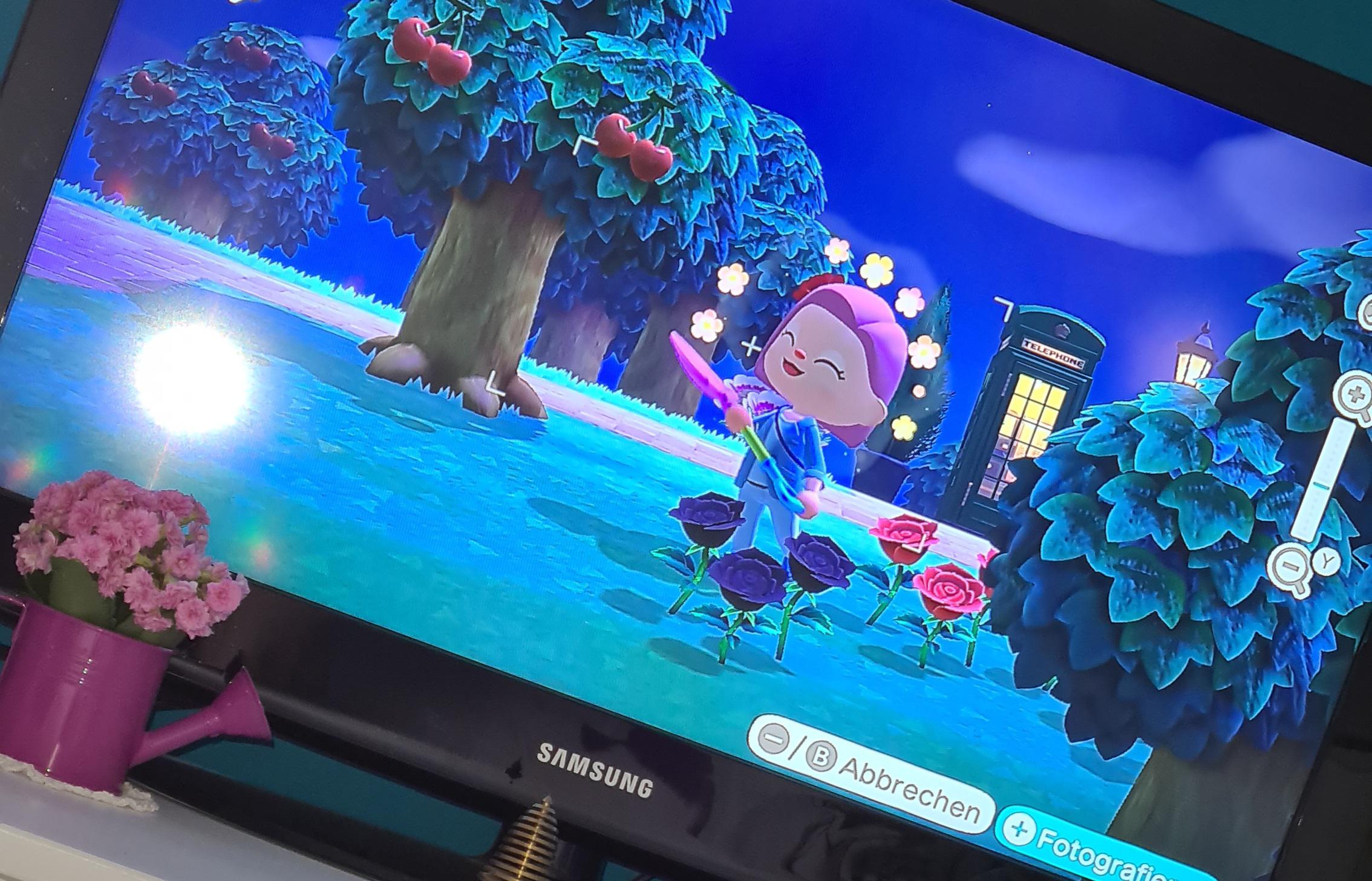 I just got my first black rose and I didn't even do anything to get her