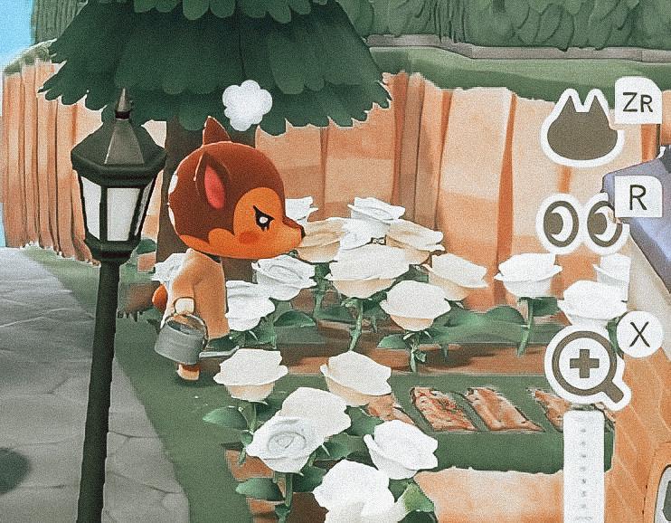 She got into a fight with Marina and angrily watered the flowers lol