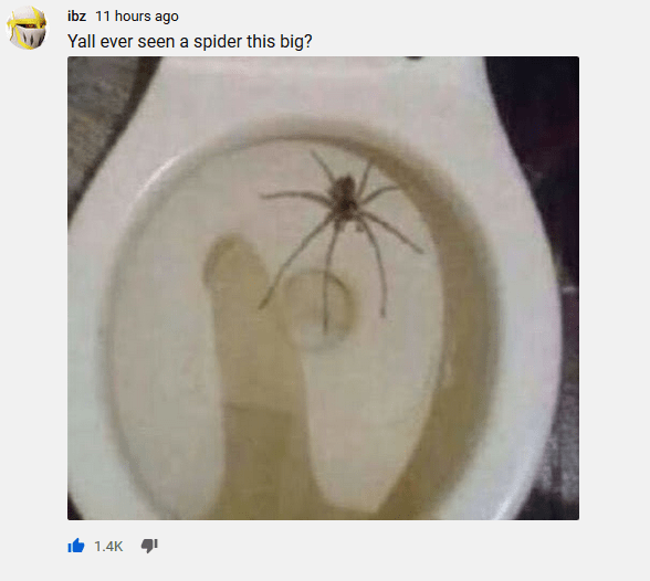 now that's a big spider r/memes