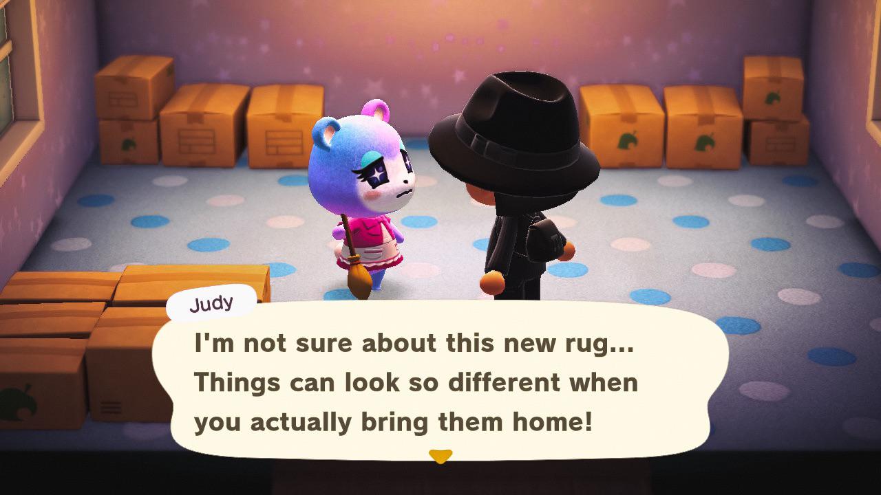 Judy is finally moving in! 🥺 I found her on my third NMT. 🥺 r