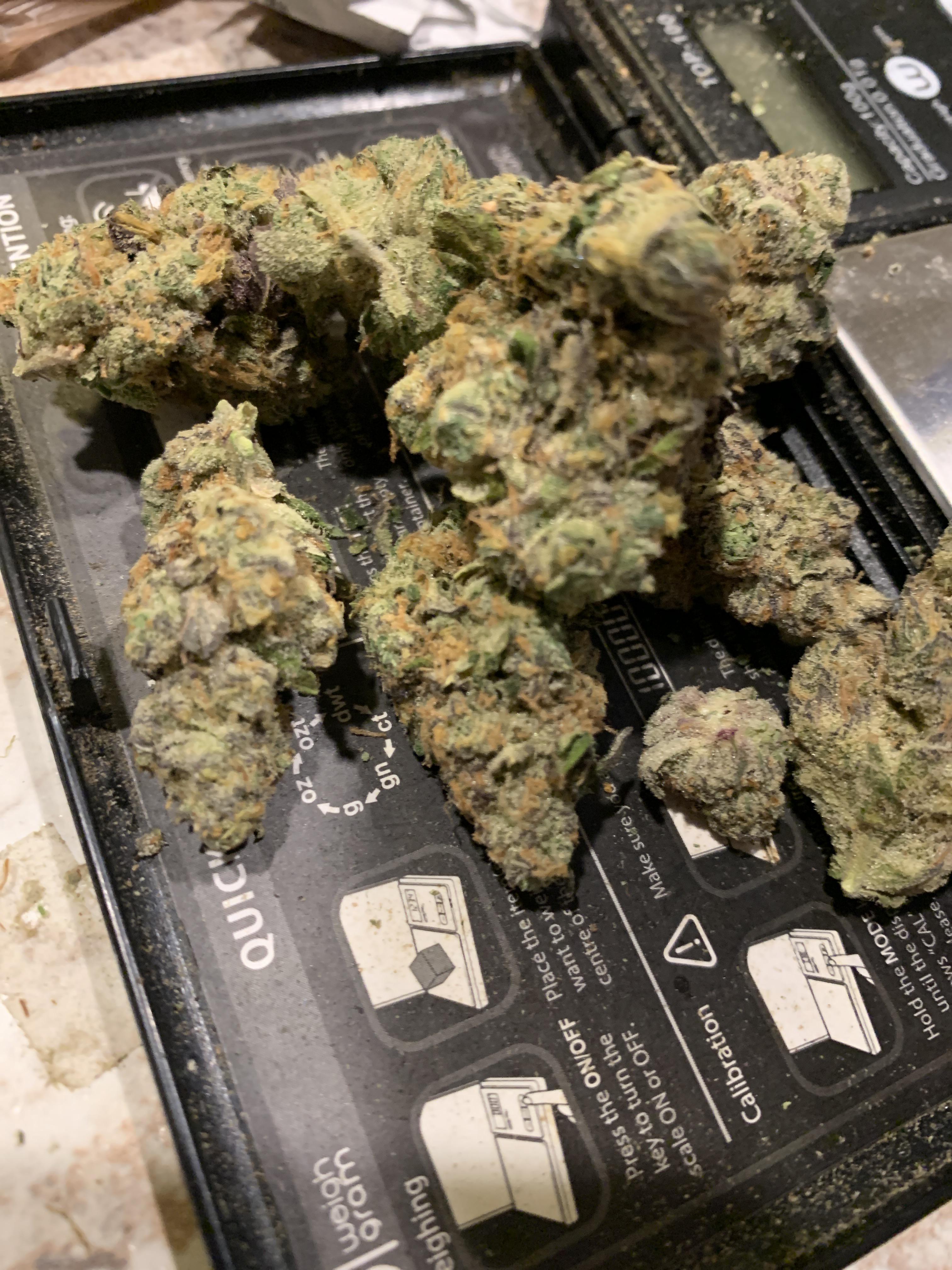 Garlic breath buckeye relief 23 sneak peak r/OhioMarijuana