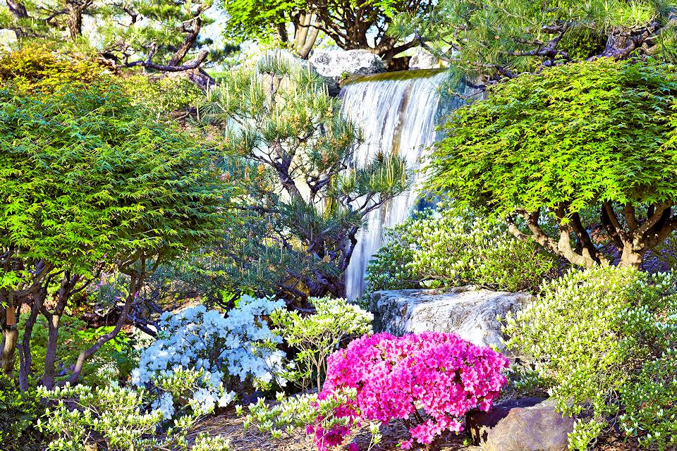 Japanese Garden Missouri Botanical Garden St Louis r/pics