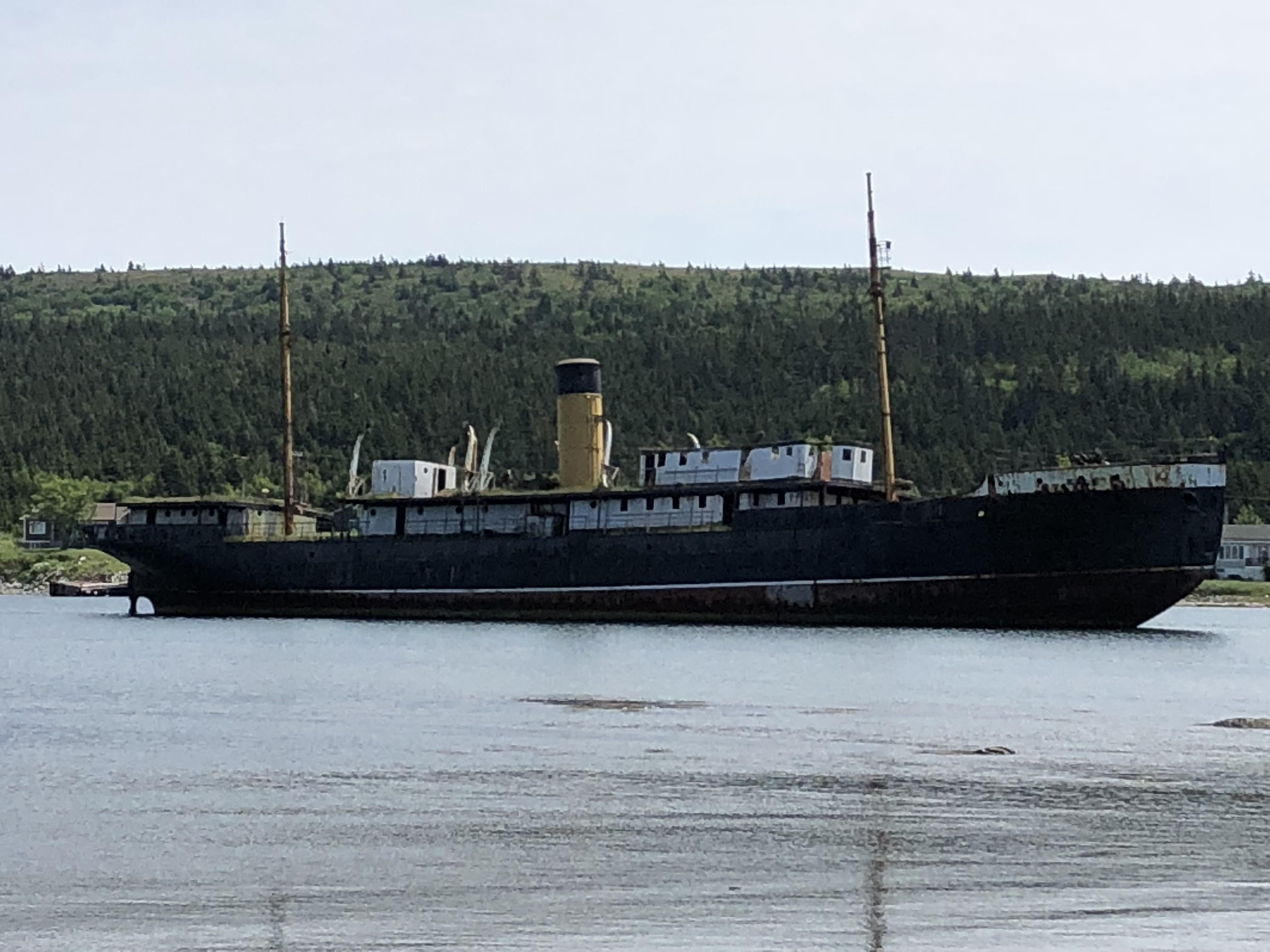 harbour grace Reddit post and comment search SocialGrep