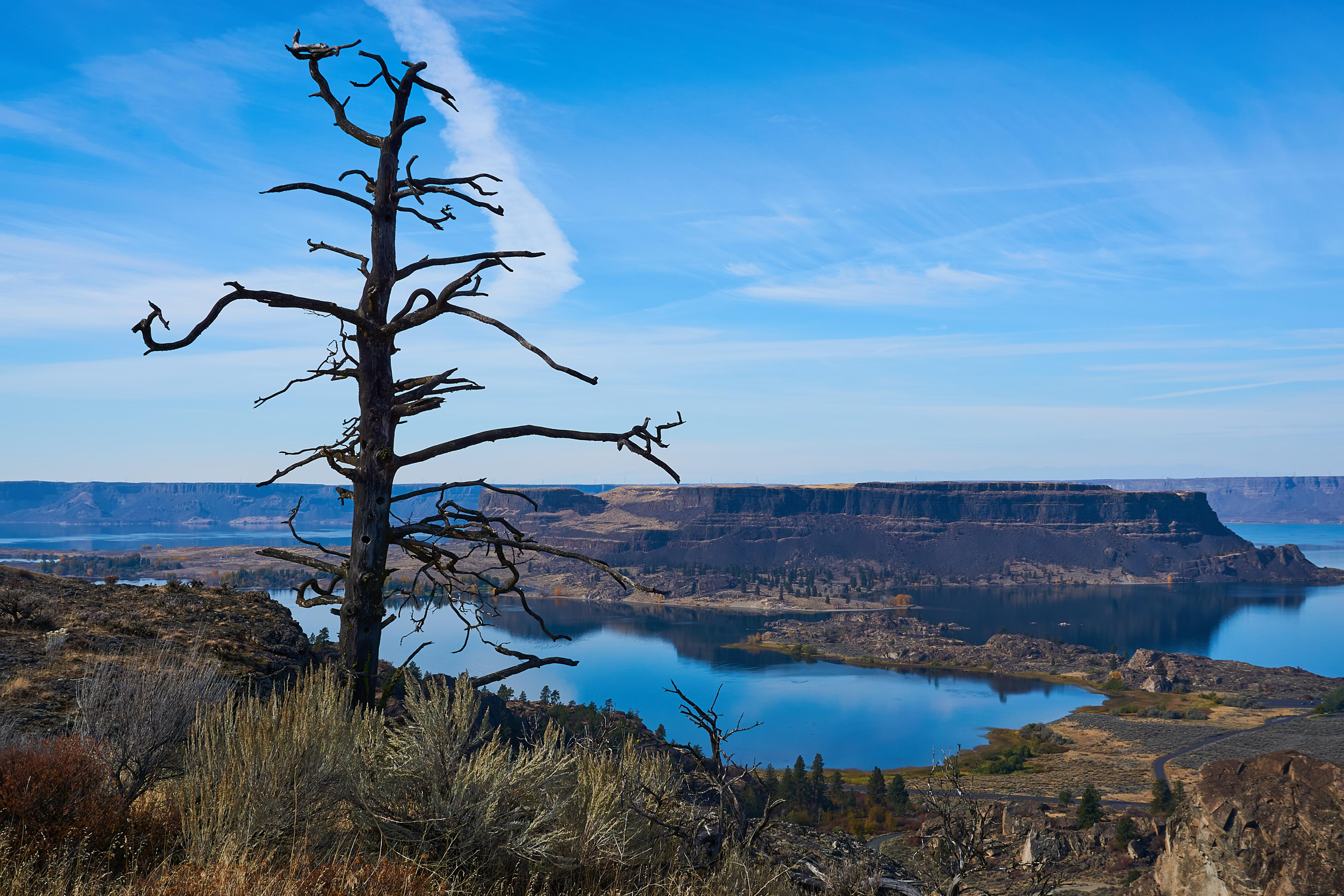 Steamboat Rock as seen from Northrup Canyon. Electric City, WA. Grand