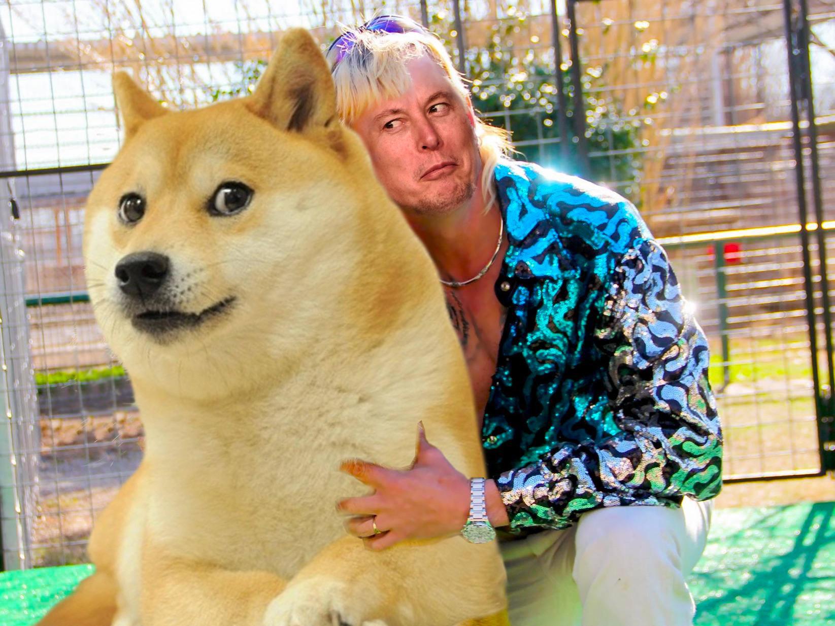 Dogecoin King Kfc S Doge Twist To Godzilla Vs Kong Meme