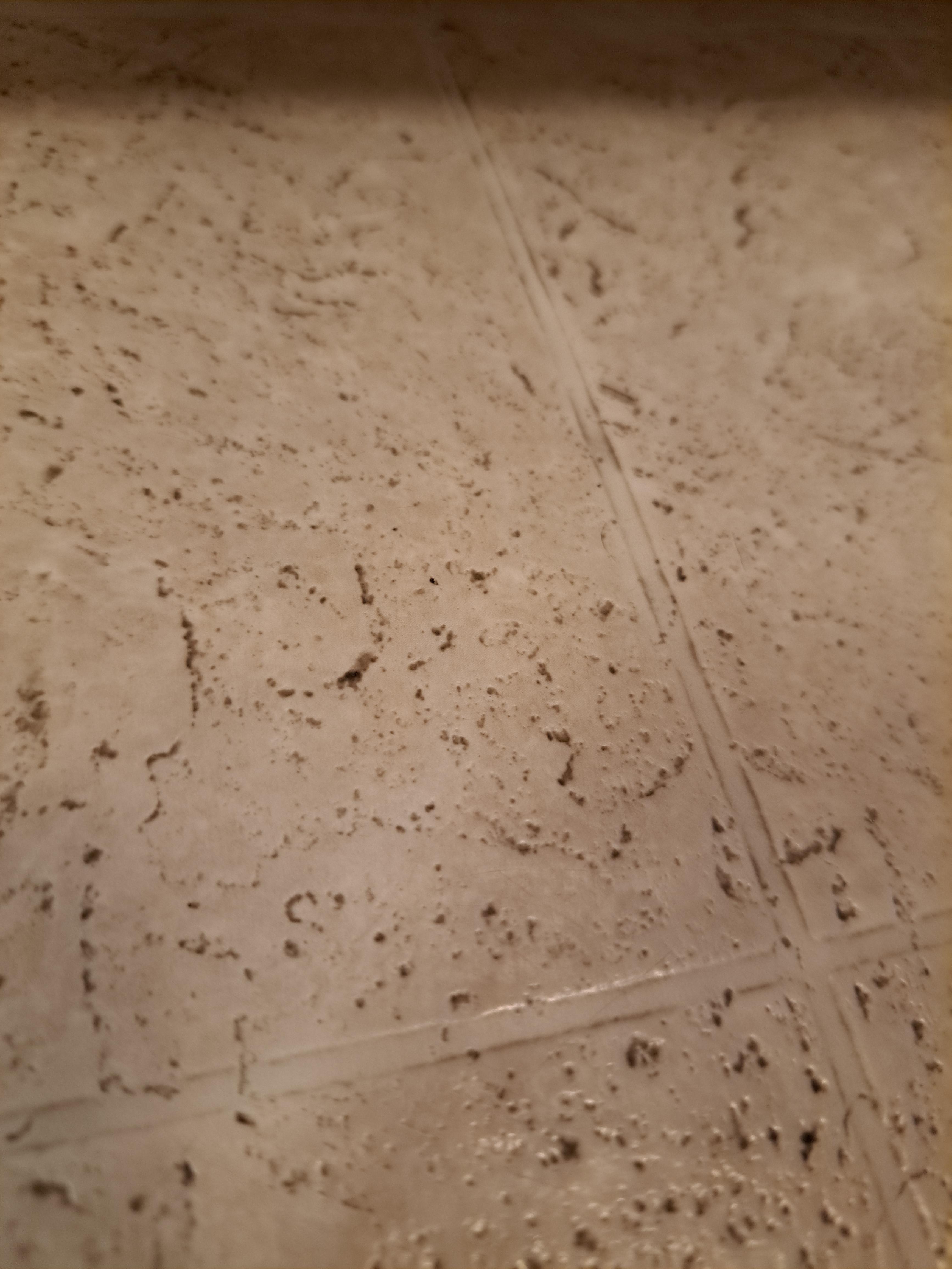 How do I get rid of the embedded grime in my kitchens vinyl flooring? vinyl floor cleaner and