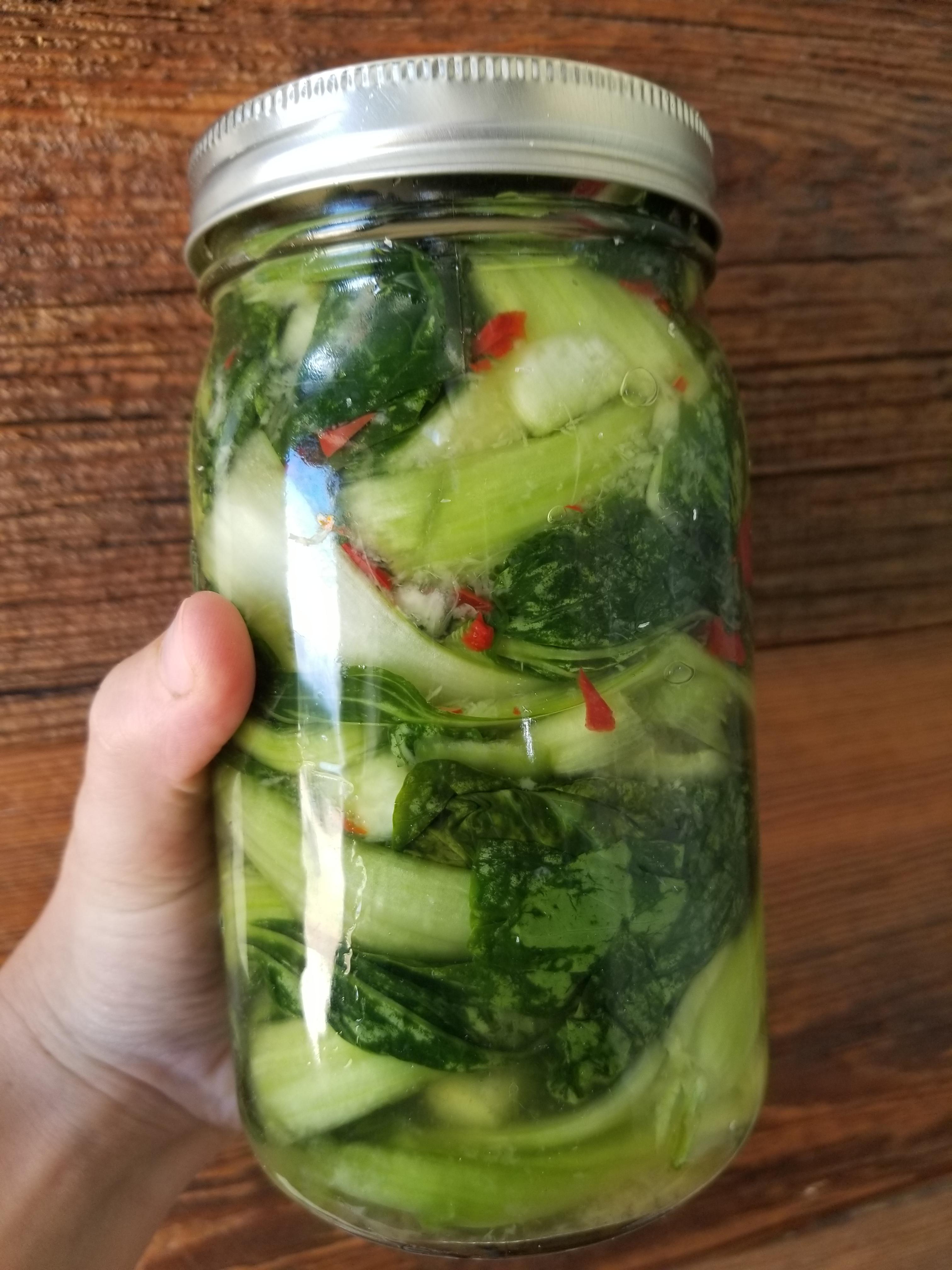 Spicy Pickled Bok Choy, Grew the Veggies from Seed r/pickling