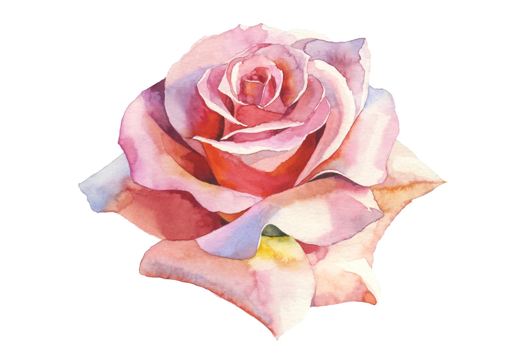 Realistic Rose. My first art r/pics