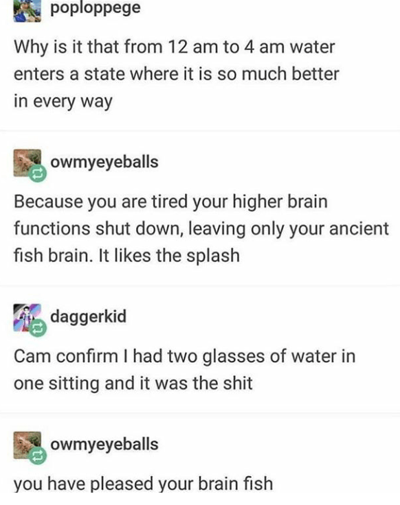 Fish brain is pleased r/tumblr