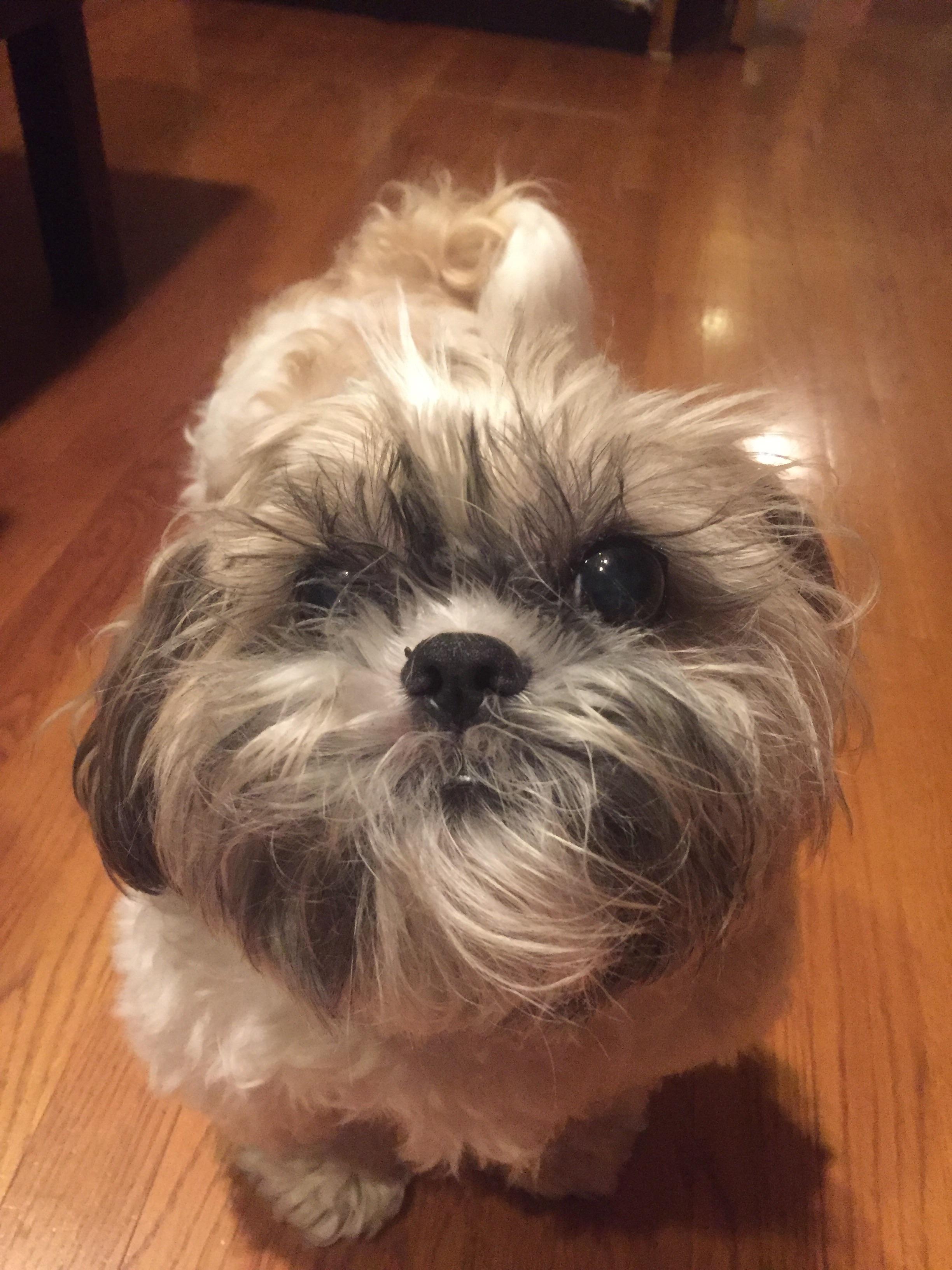 Reddit Dive into anything