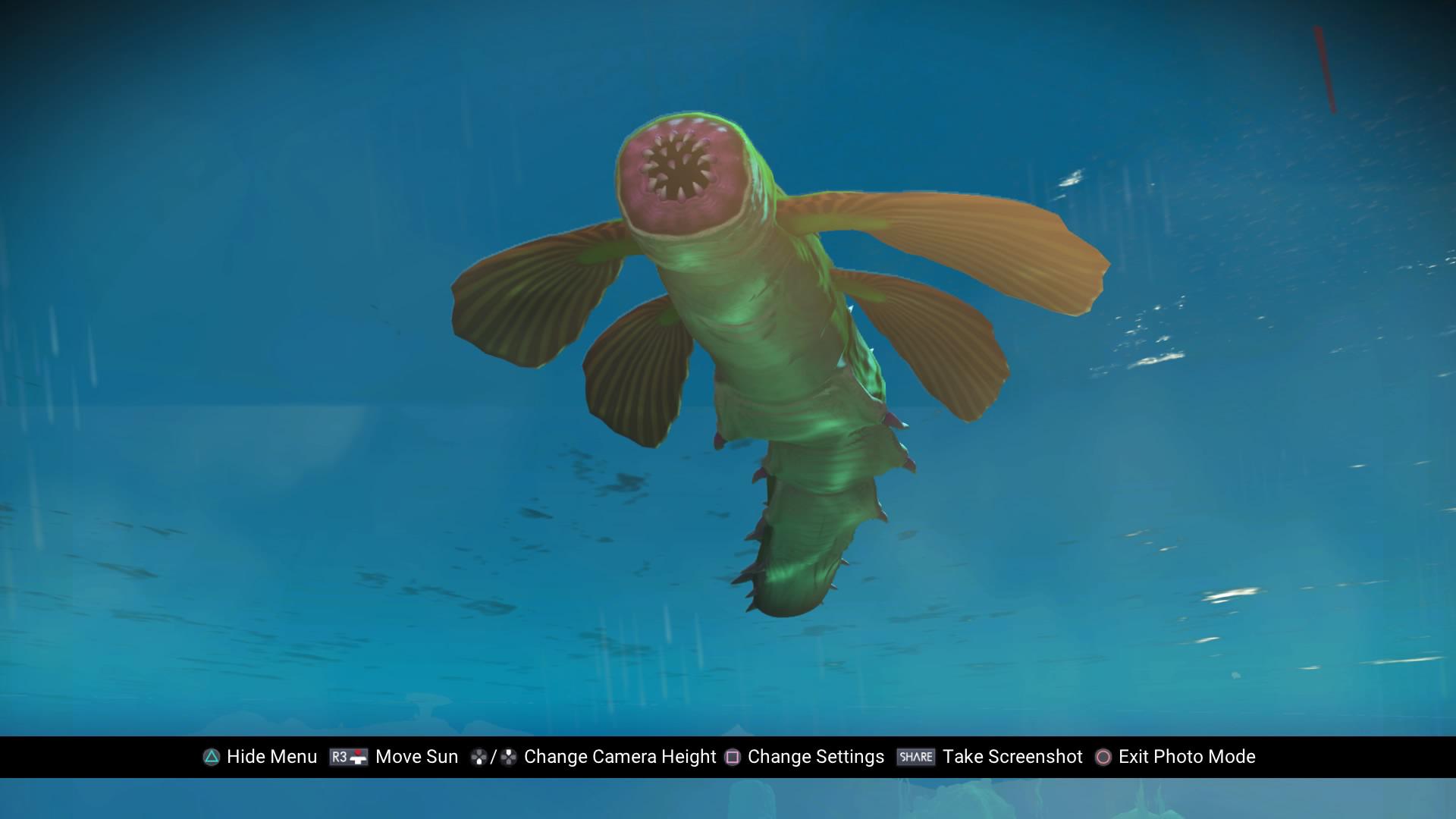 Pets World And Aquatics