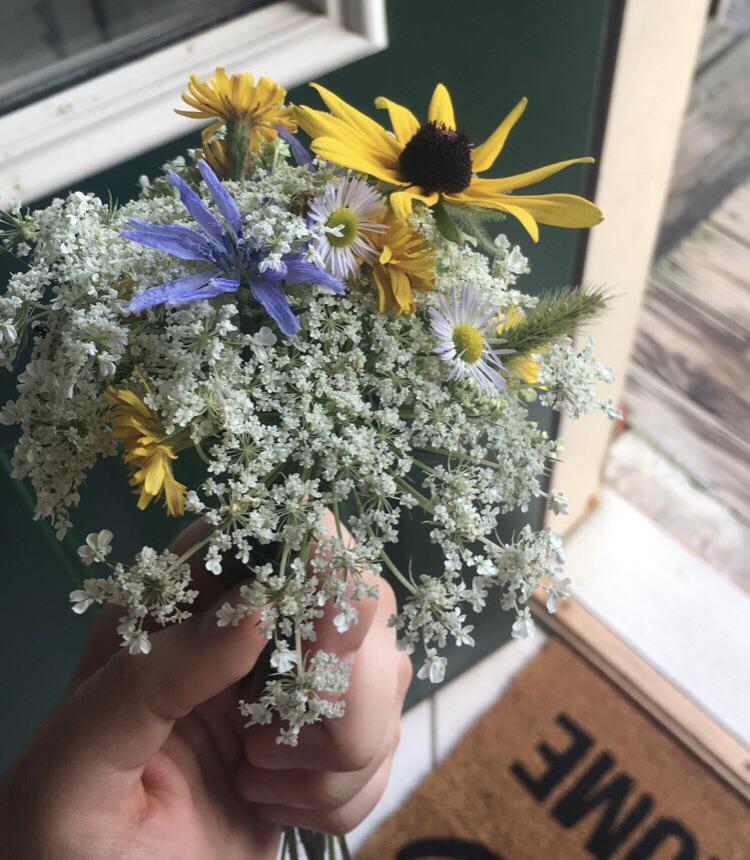 Instead of buying flowers, I picked some from the side of the road on