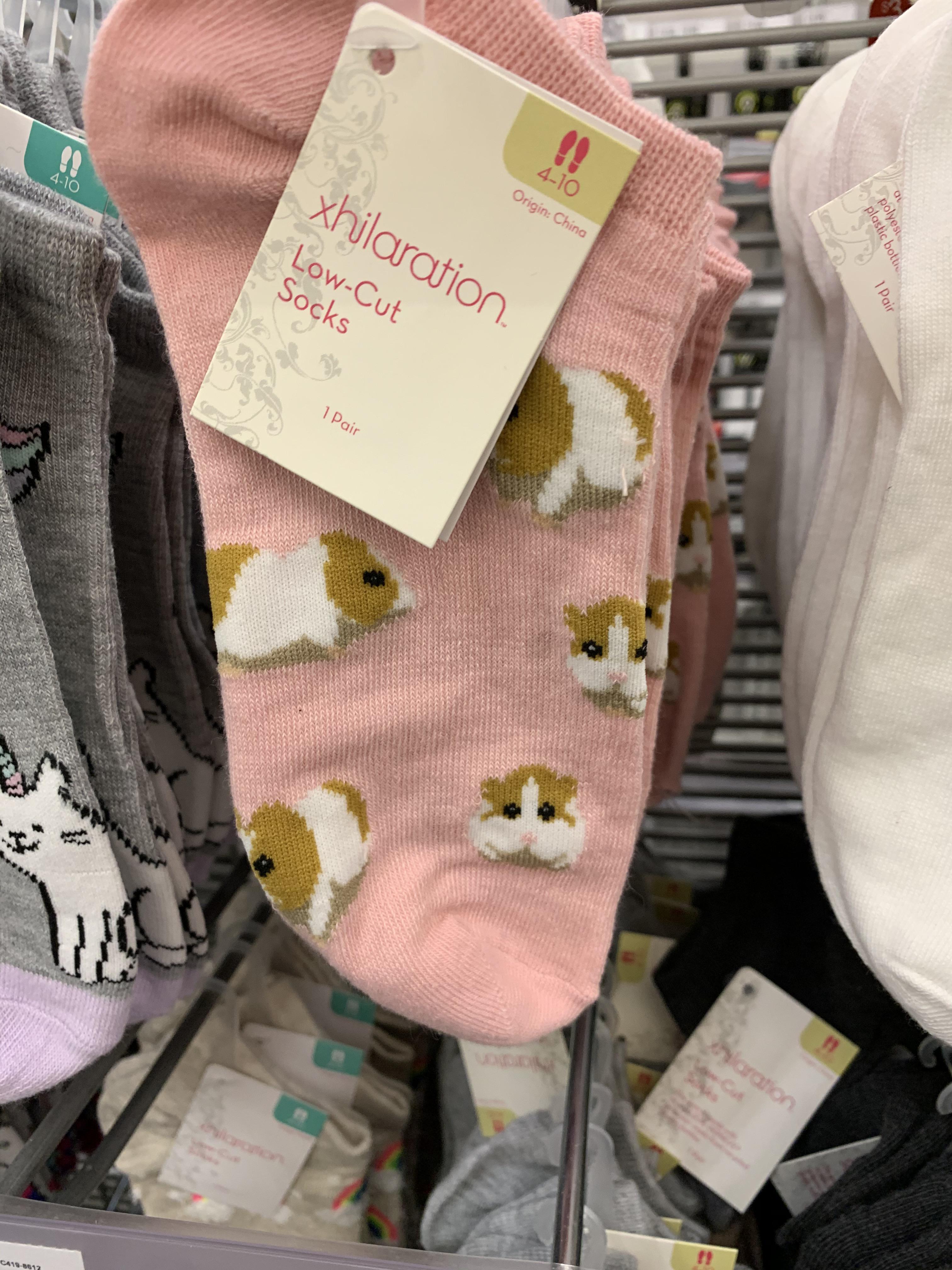 Find these socks in Target 🎯 r/guineapigs