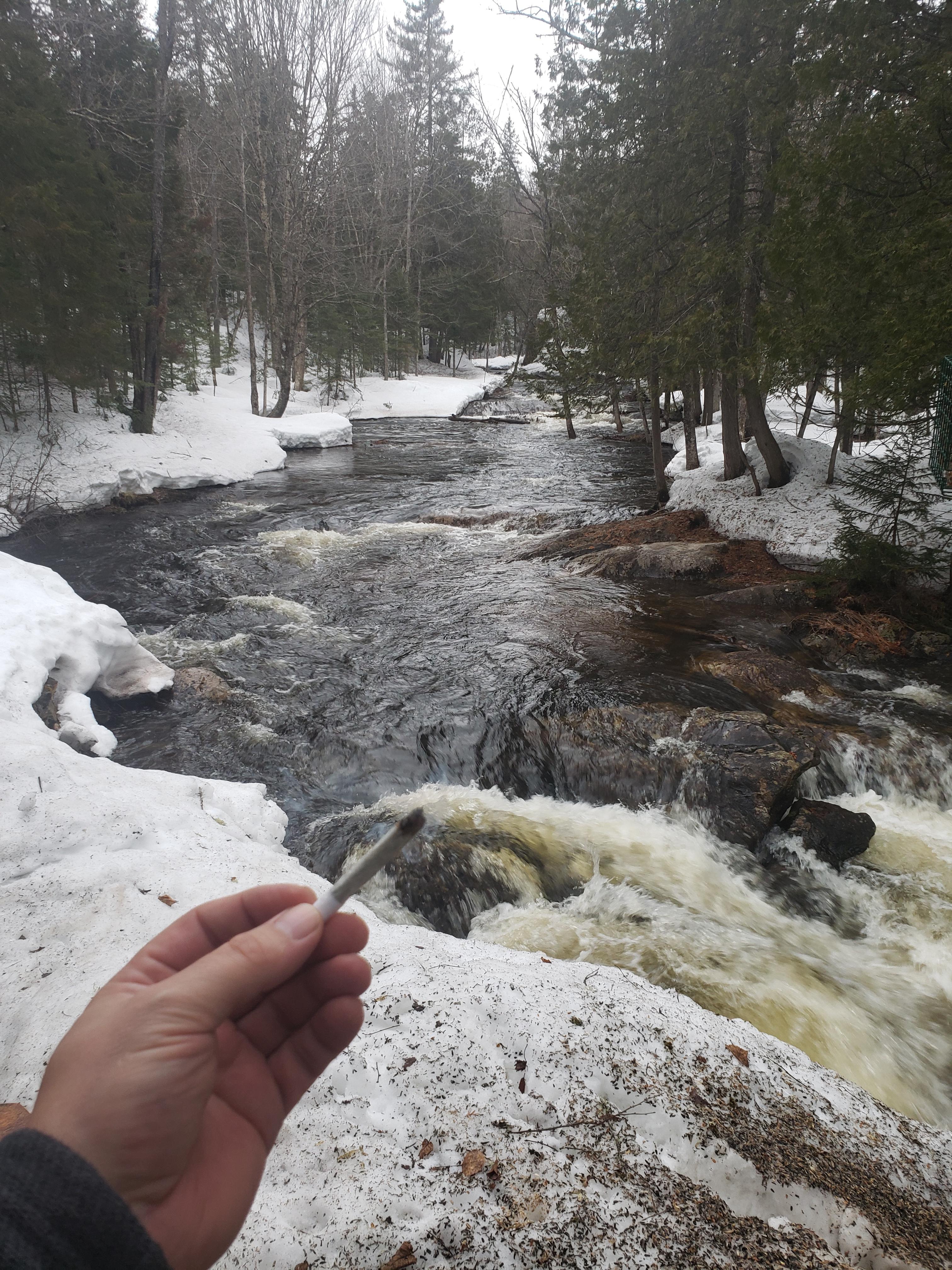 My smoker corner ) r/trees