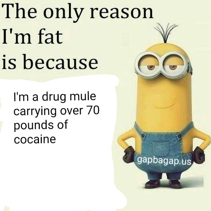 29++ Funny Minion Memes For Kids Factory Memes